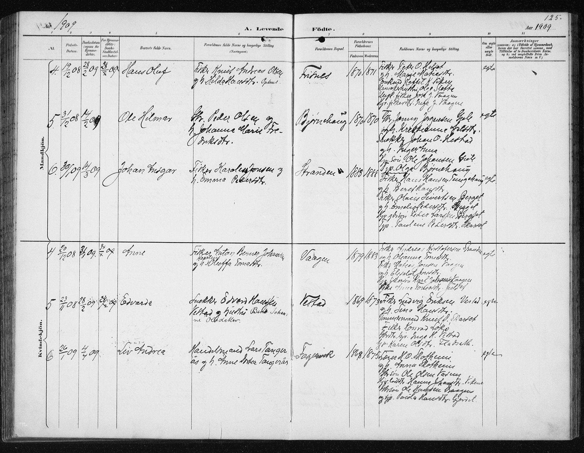 Ministerialprotokoller, klokkerbøker og fødselsregistre - Møre og Romsdal, AV/SAT-A-1454/566/L0773: Parish register (copy) no. 566C02, 1892-1909, p. 125