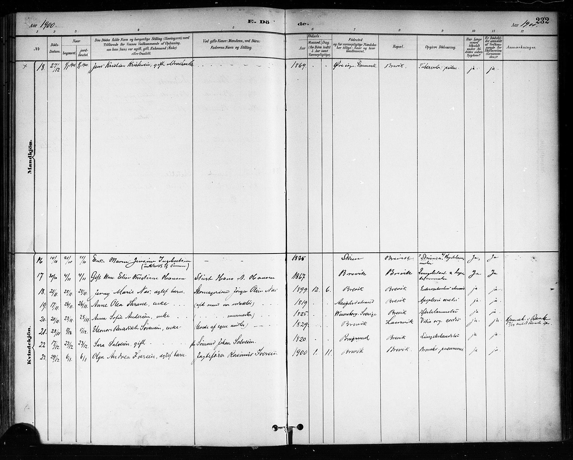 Brevik kirkebøker, AV/SAKO-A-255/F/Fa/L0007: Parish register (official) no. 7, 1882-1900, p. 232