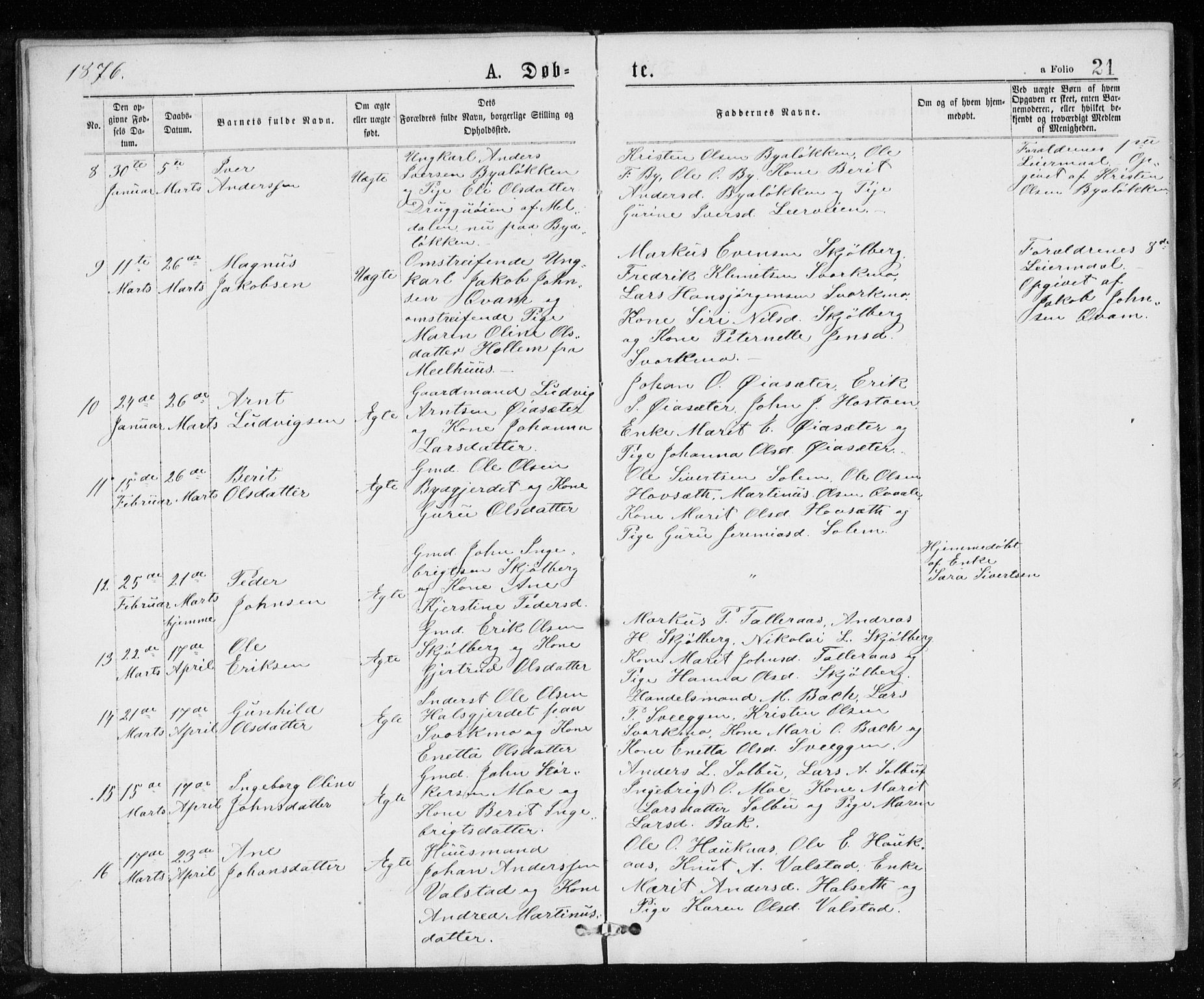 Ministerialprotokoller, klokkerbøker og fødselsregistre - Sør-Trøndelag, AV/SAT-A-1456/671/L0843: Parish register (copy) no. 671C02, 1873-1892, p. 21