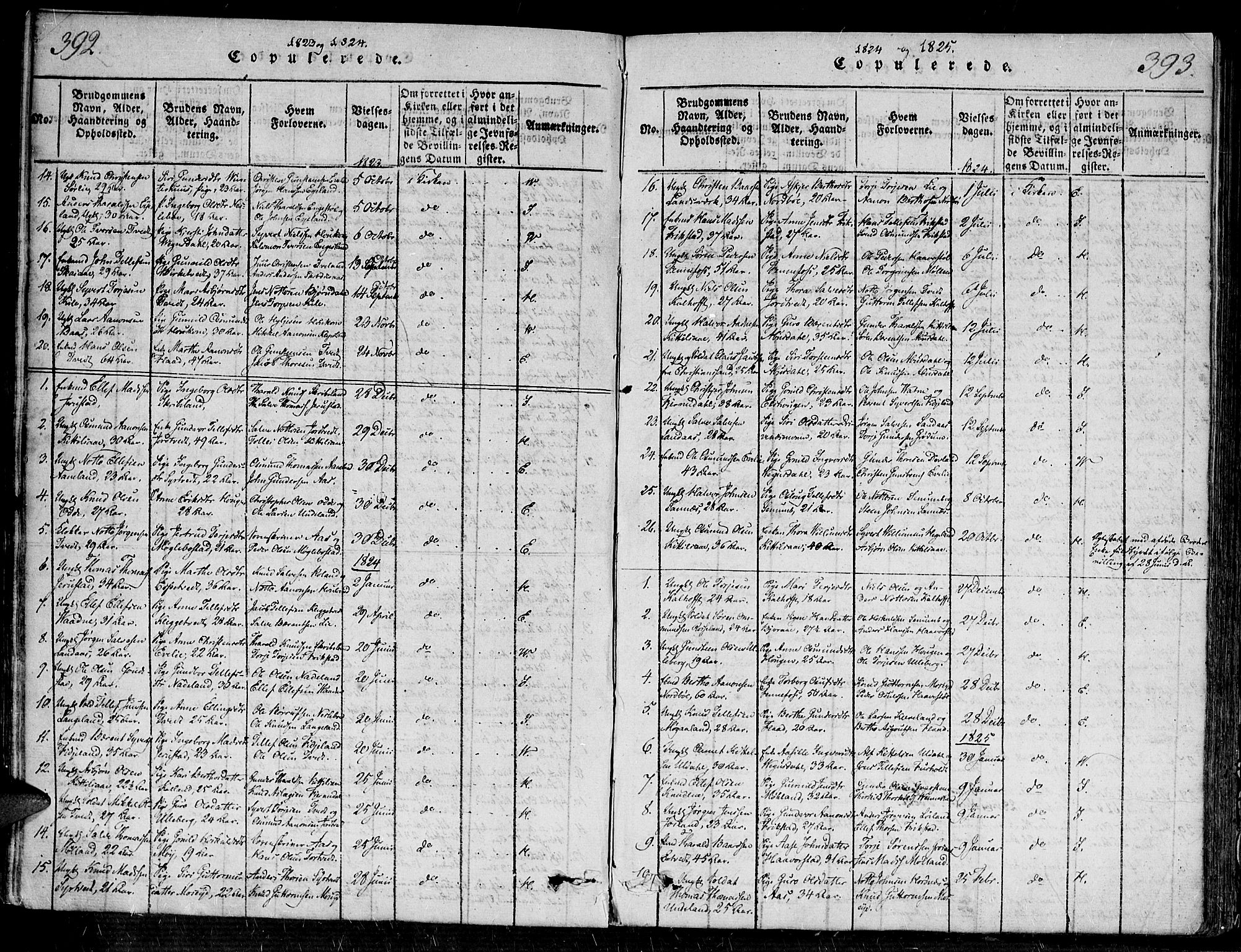 Evje sokneprestkontor, SAK/1111-0008/F/Fa/Faa/L0004: Parish register (official) no. A 4, 1816-1840, p. 392-393