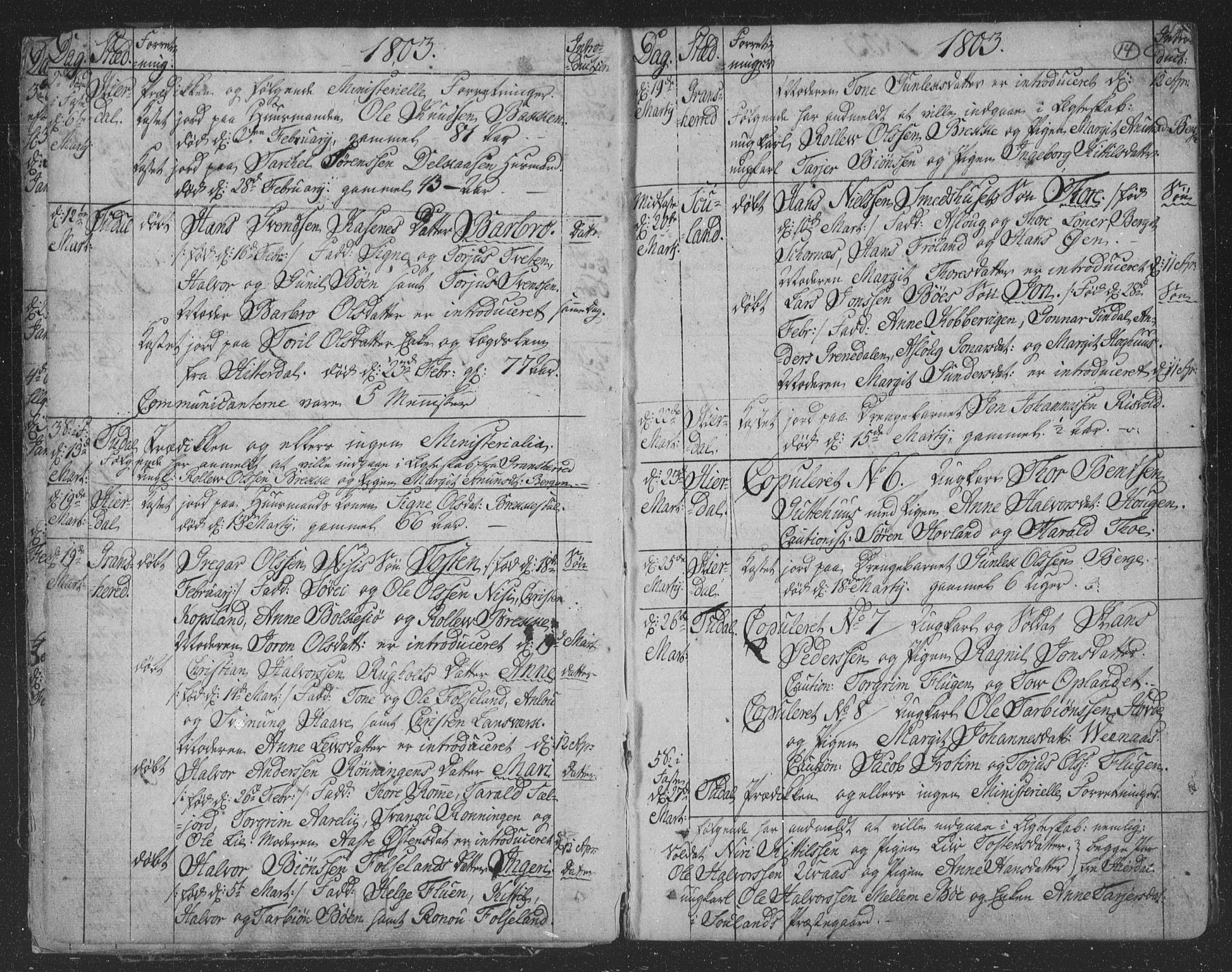 Hjartdal kirkebøker, AV/SAKO-A-270/F/Fa/L0006: Parish register (official) no. I 6, 1801-1814, p. 14