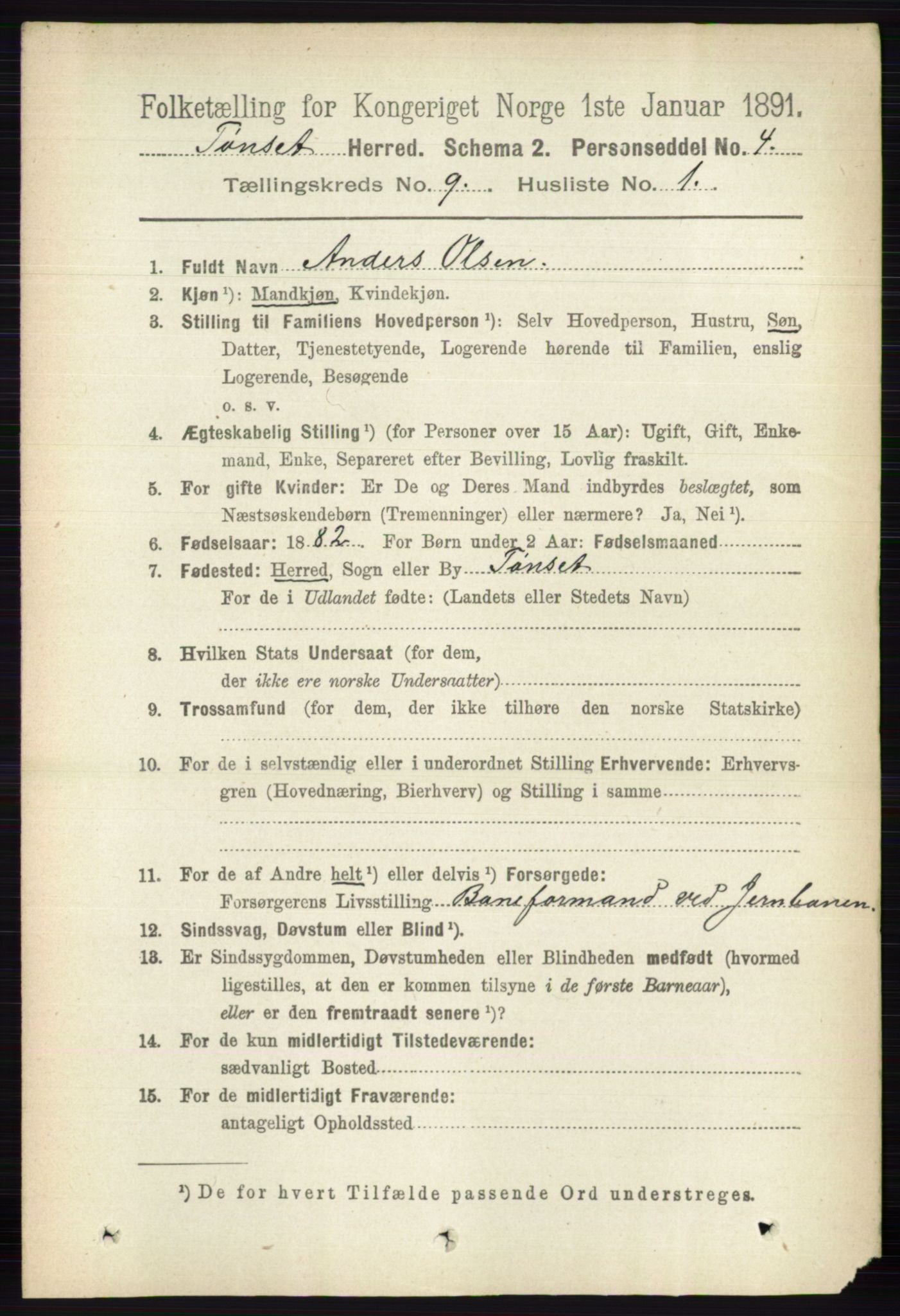 RA, 1891 census for 0437 Tynset, 1891, p. 2423