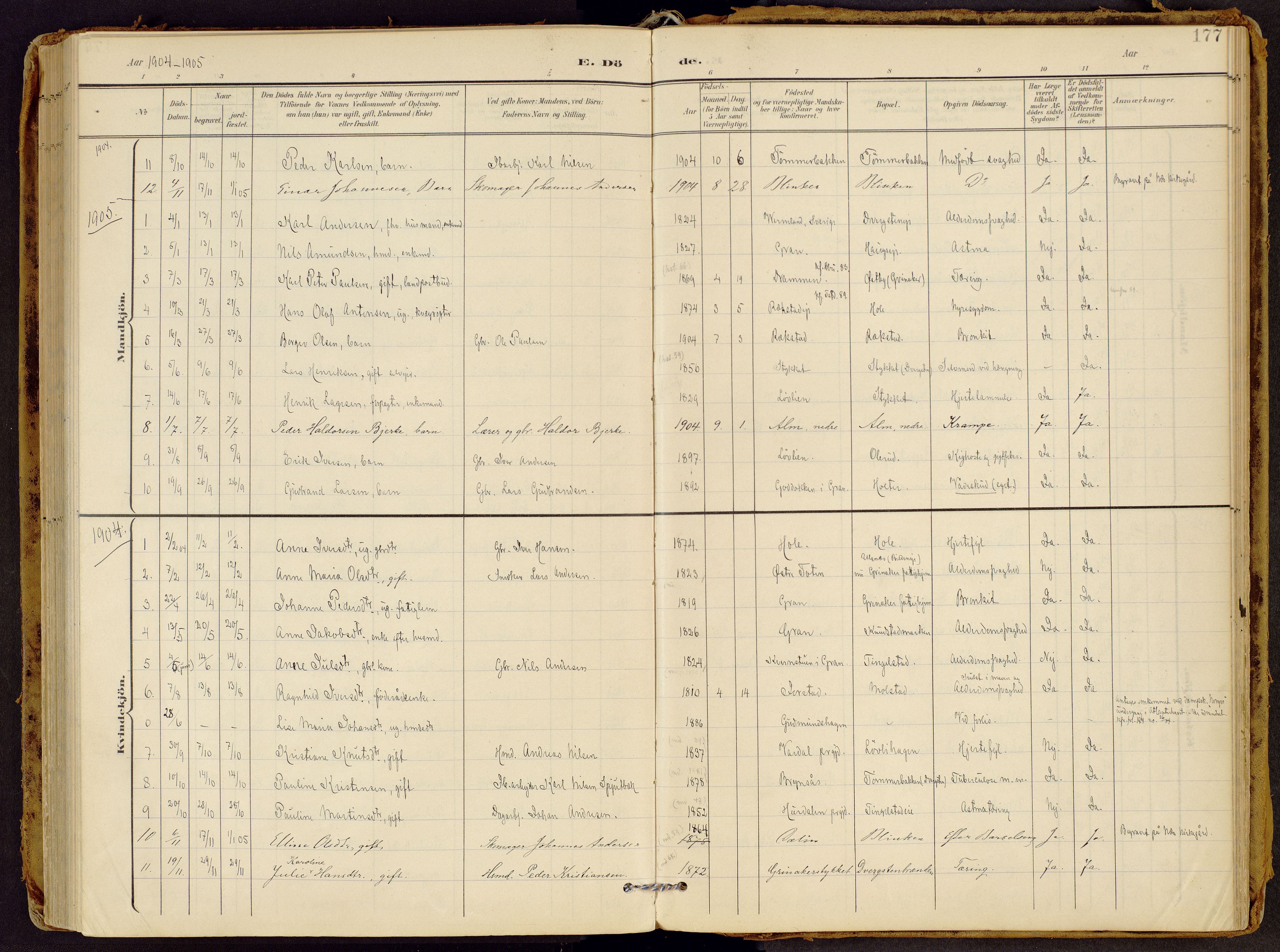 Brandbu prestekontor, AV/SAH-PREST-114/H/Ha/Haa/L0002: Parish register (official) no. 2, 1899-1914, p. 177