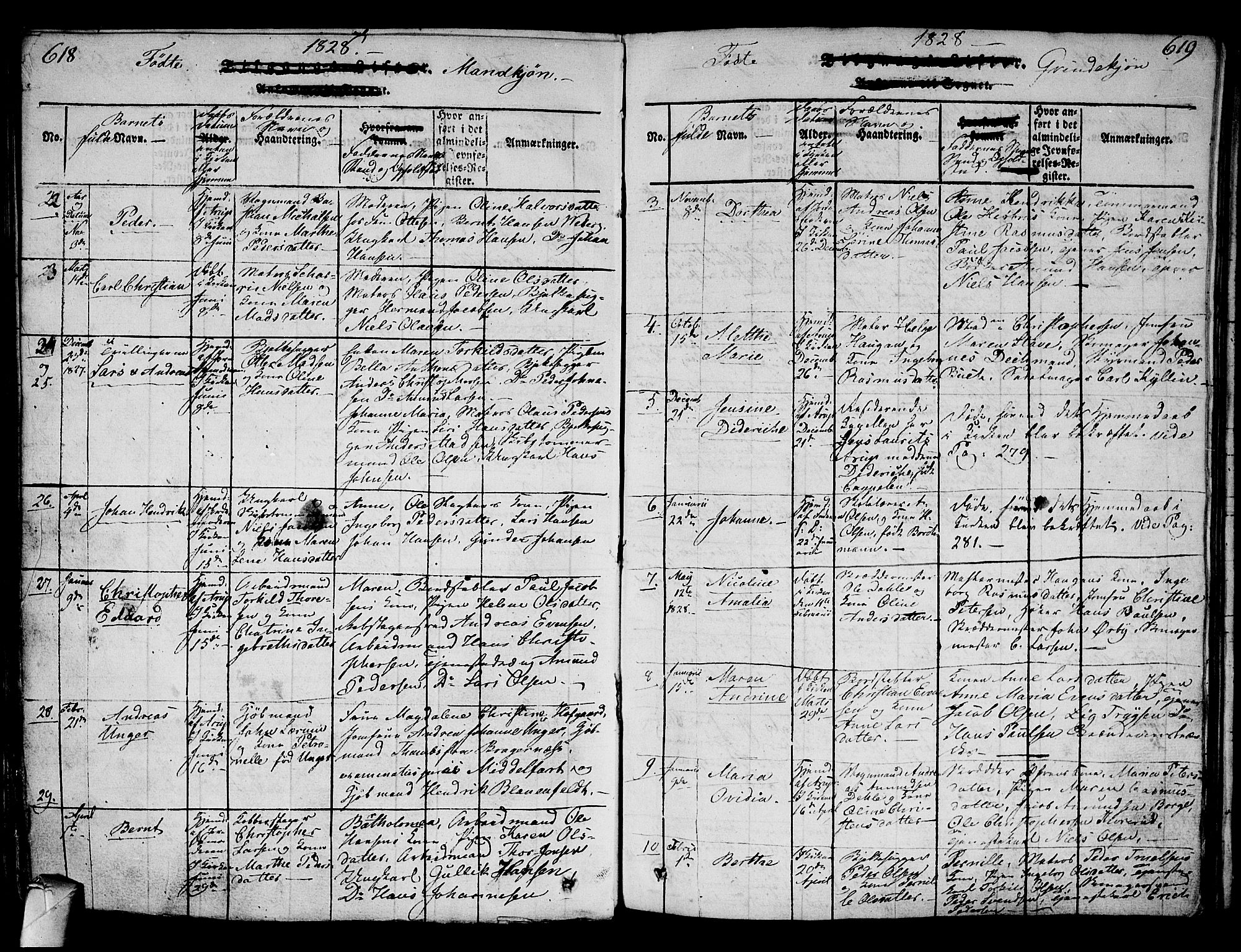 Strømsø kirkebøker, AV/SAKO-A-246/G/Ga/L0001: Parish register (copy) no. 1, 1815-1829, p. 618-619