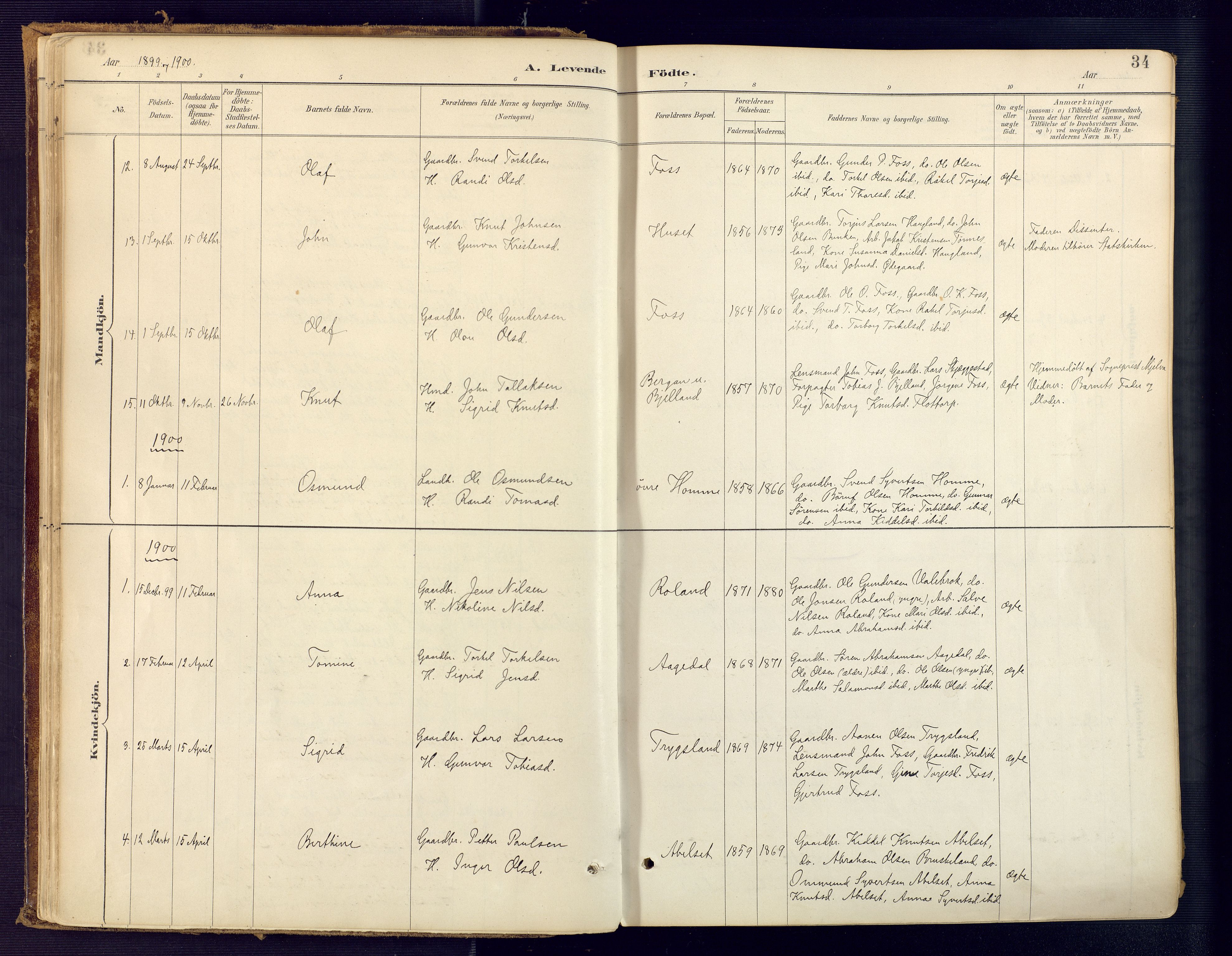 Bjelland sokneprestkontor, SAK/1111-0005/F/Fa/Faa/L0004: Parish register (official) no. A 4, 1887-1923, p. 34