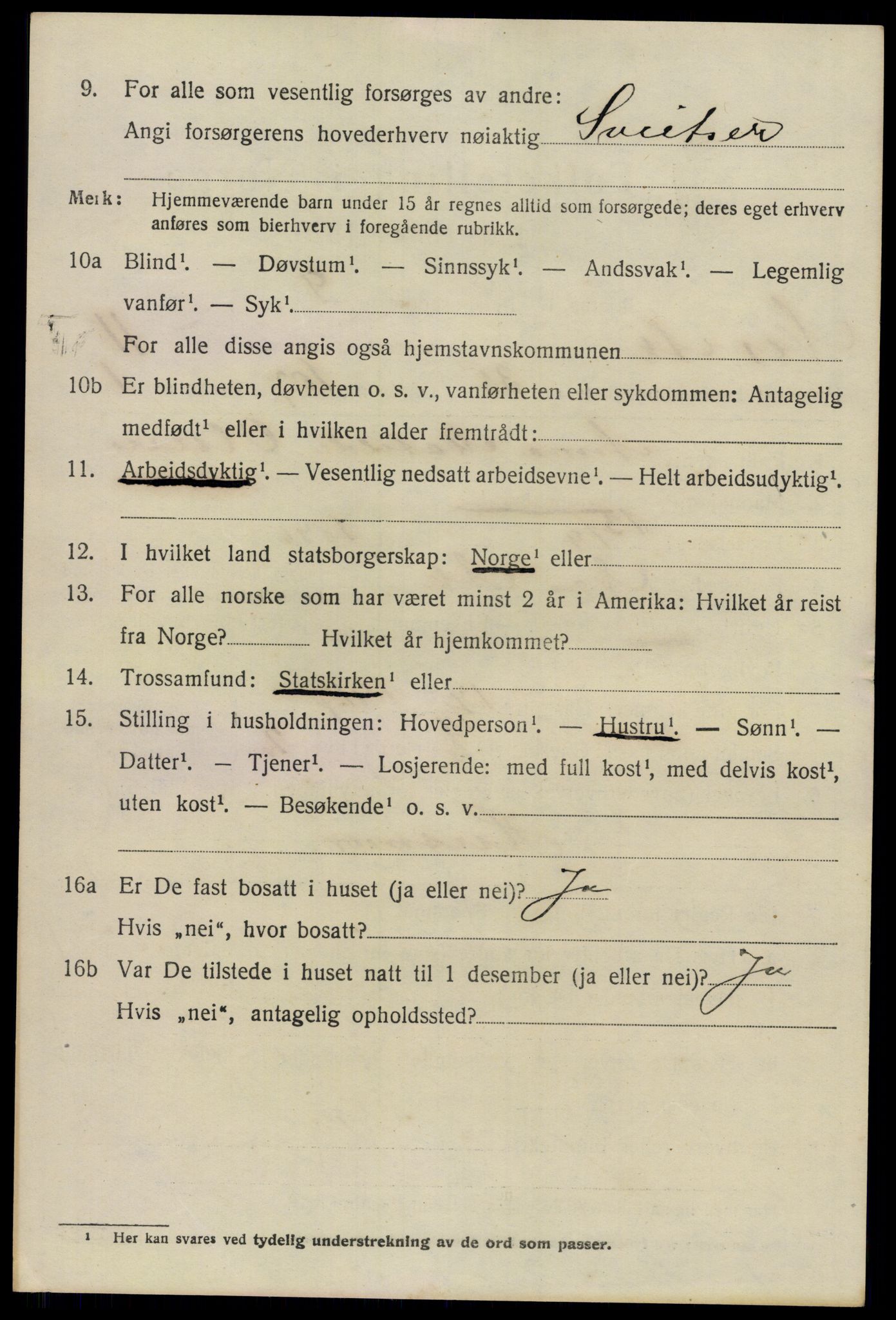 SAO, 1920 census for Nes, 1920, p. 11837