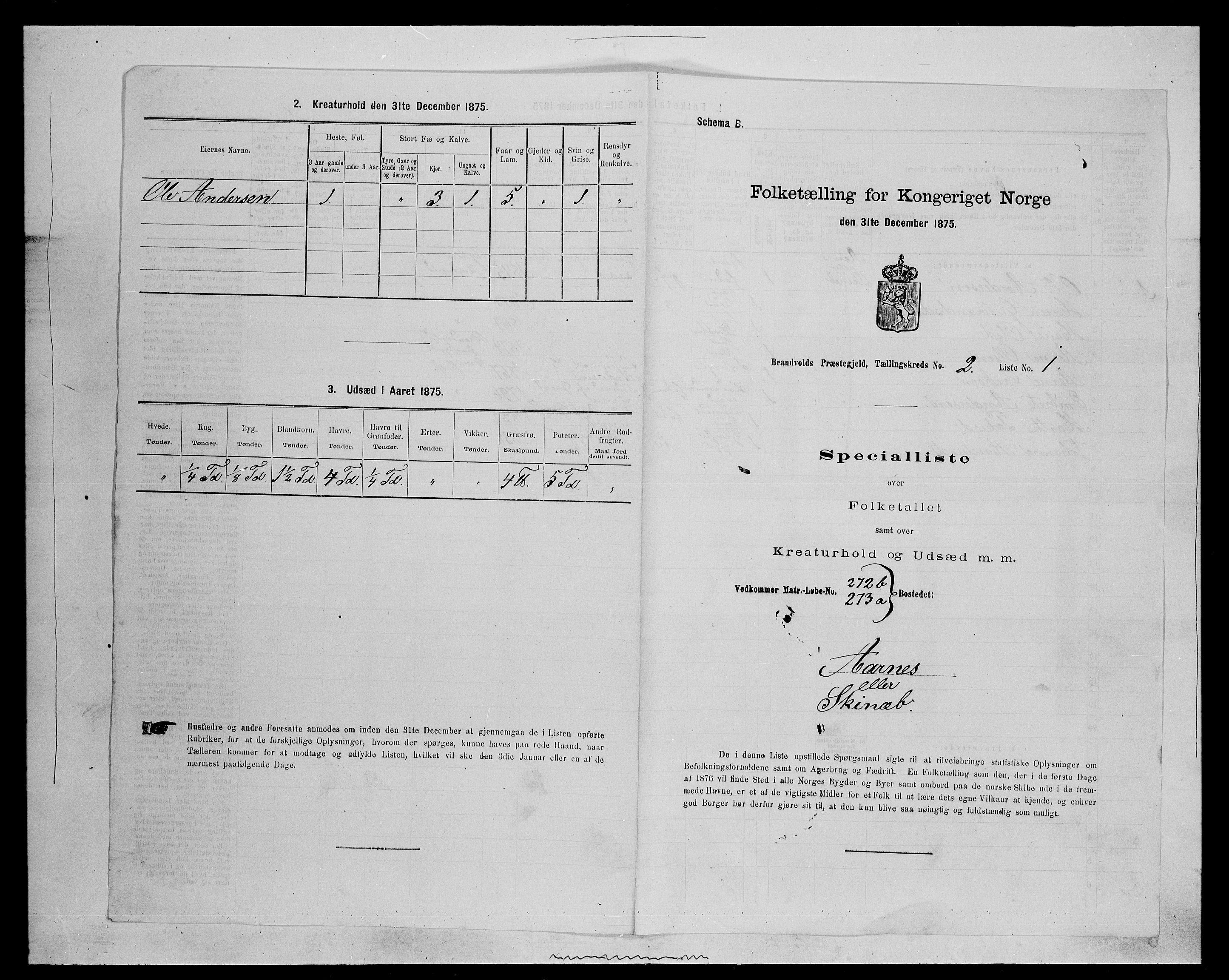 SAH, 1875 census for 0422P Brandval, 1875, p. 256