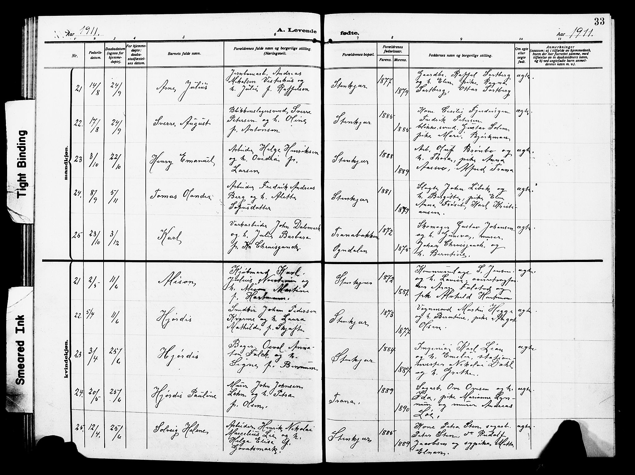 Ministerialprotokoller, klokkerbøker og fødselsregistre - Nord-Trøndelag, AV/SAT-A-1458/739/L0376: Parish register (copy) no. 739C04, 1908-1917, p. 33