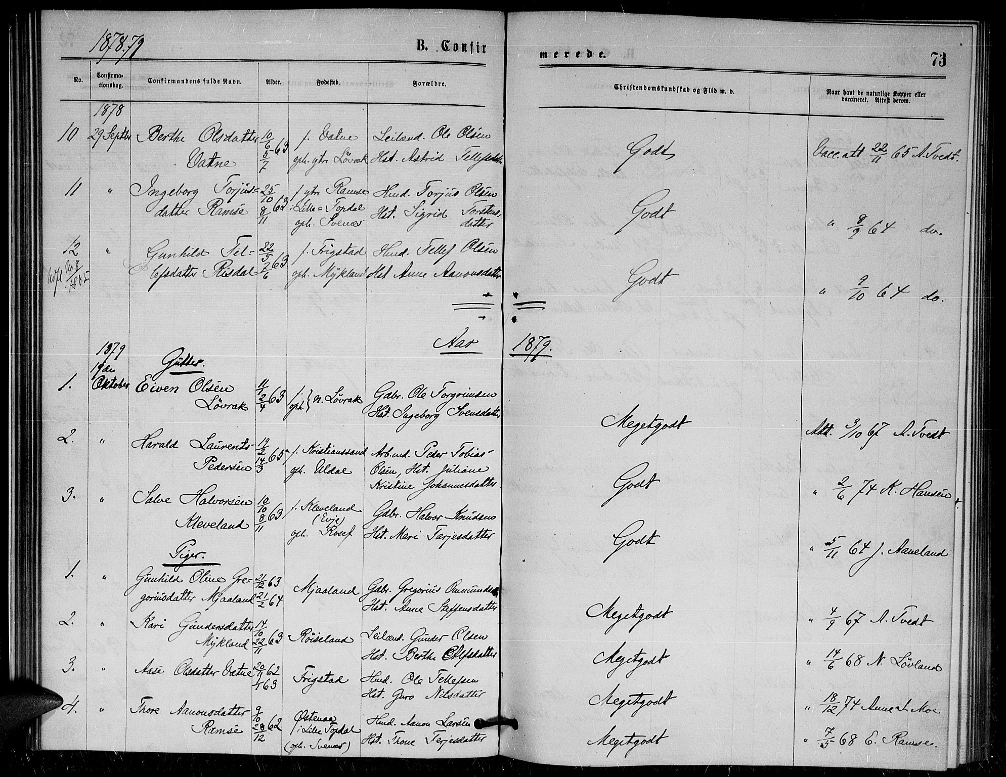 Herefoss sokneprestkontor, AV/SAK-1111-0019/F/Fa/Fac/L0001: Parish register (official) no. A 1, 1871-1886, p. 73