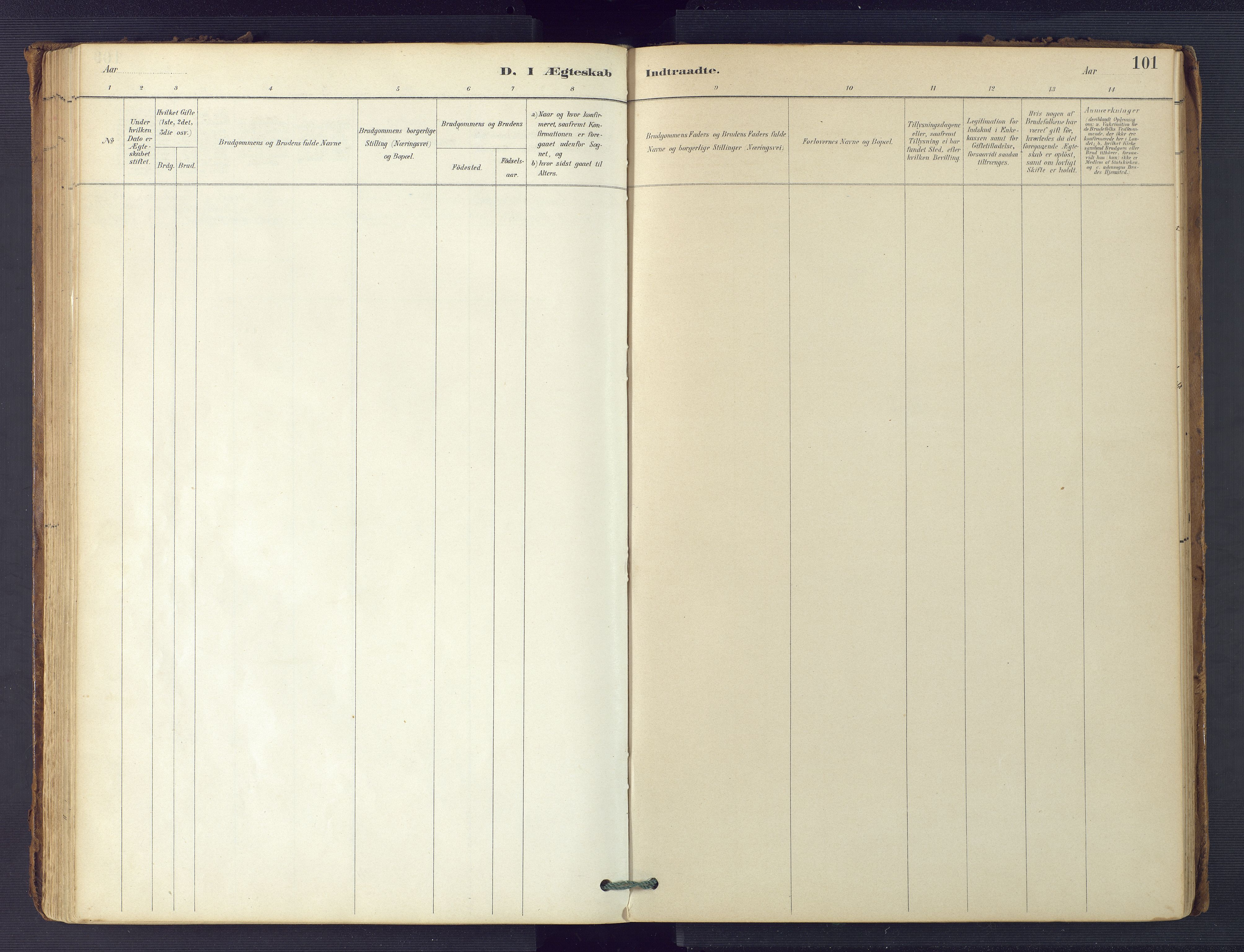 Hommedal sokneprestkontor, SAK/1111-0023/F/Fa/Faa/L0003: Parish register (official) no. A 3, 1885-1916, p. 101