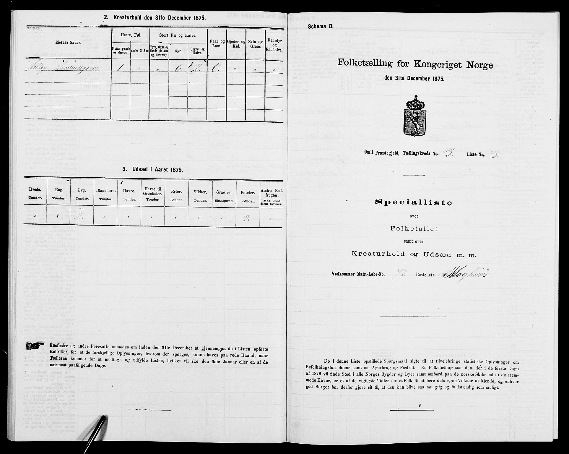 SAK, 1875 census for 0929P Åmli, 1875, p. 247