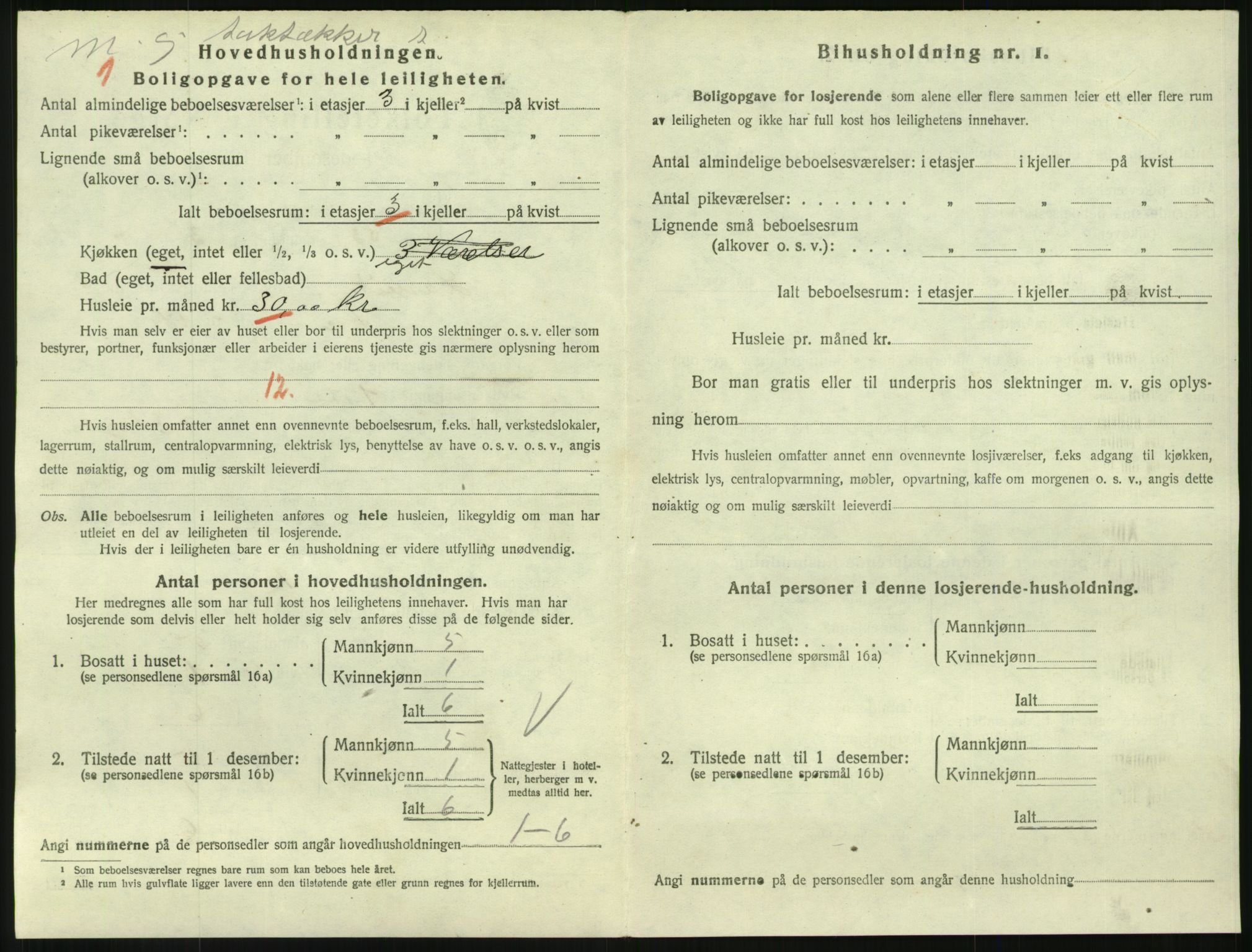 SAKO, 1920 census for Larvik, 1920, p. 6719