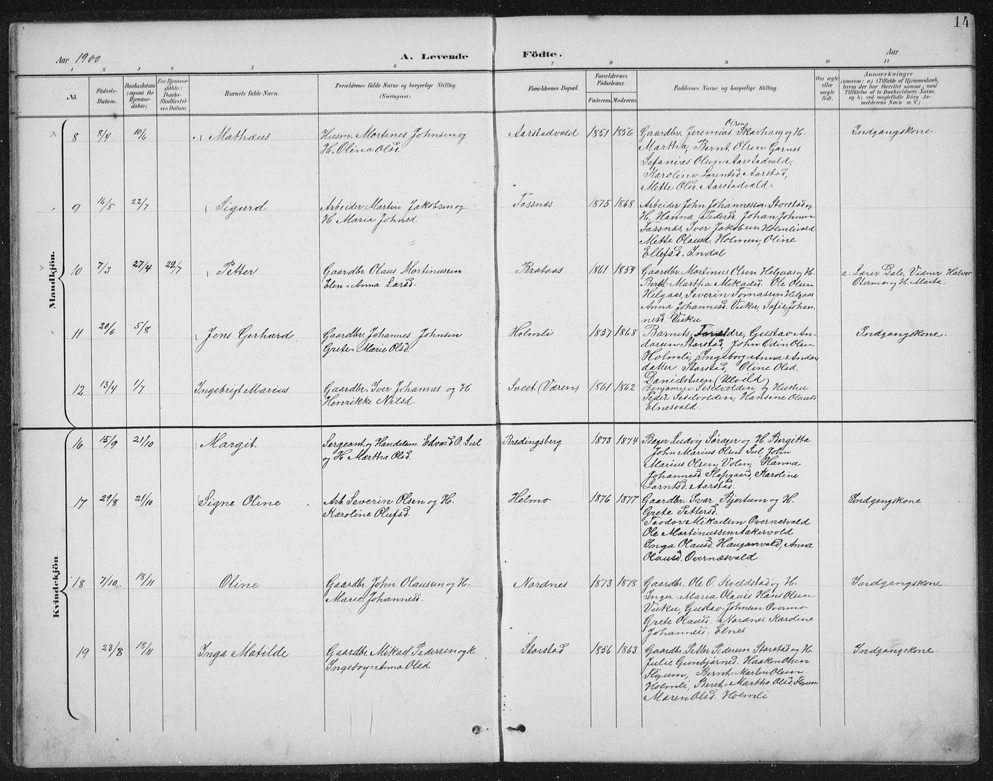 Ministerialprotokoller, klokkerbøker og fødselsregistre - Nord-Trøndelag, AV/SAT-A-1458/724/L0269: Parish register (copy) no. 724C05, 1899-1920, p. 14