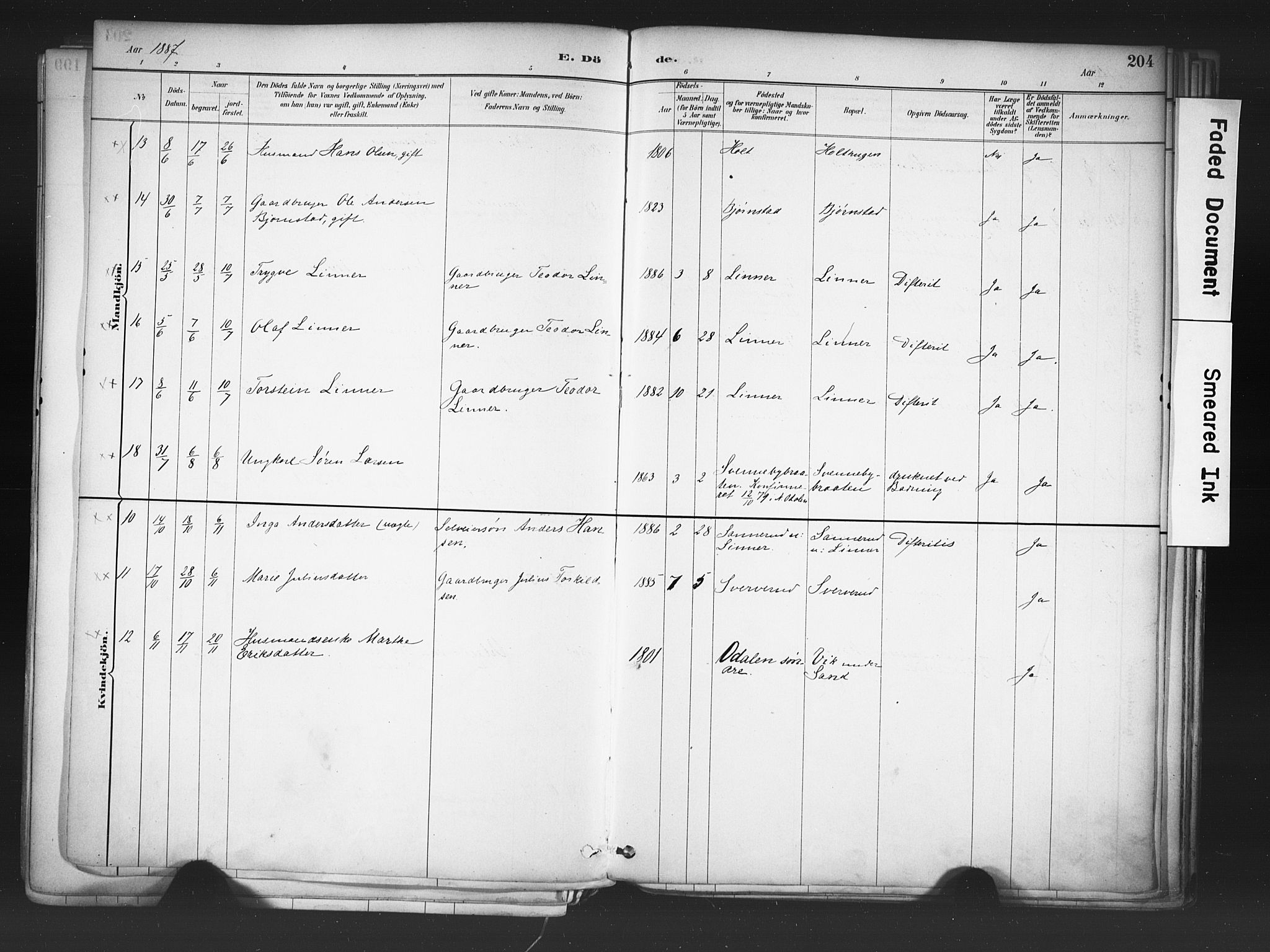 Nord-Odal prestekontor, AV/SAH-PREST-032/H/Ha/Haa/L0006: Parish register (official) no. 6, 1886-1901, p. 204