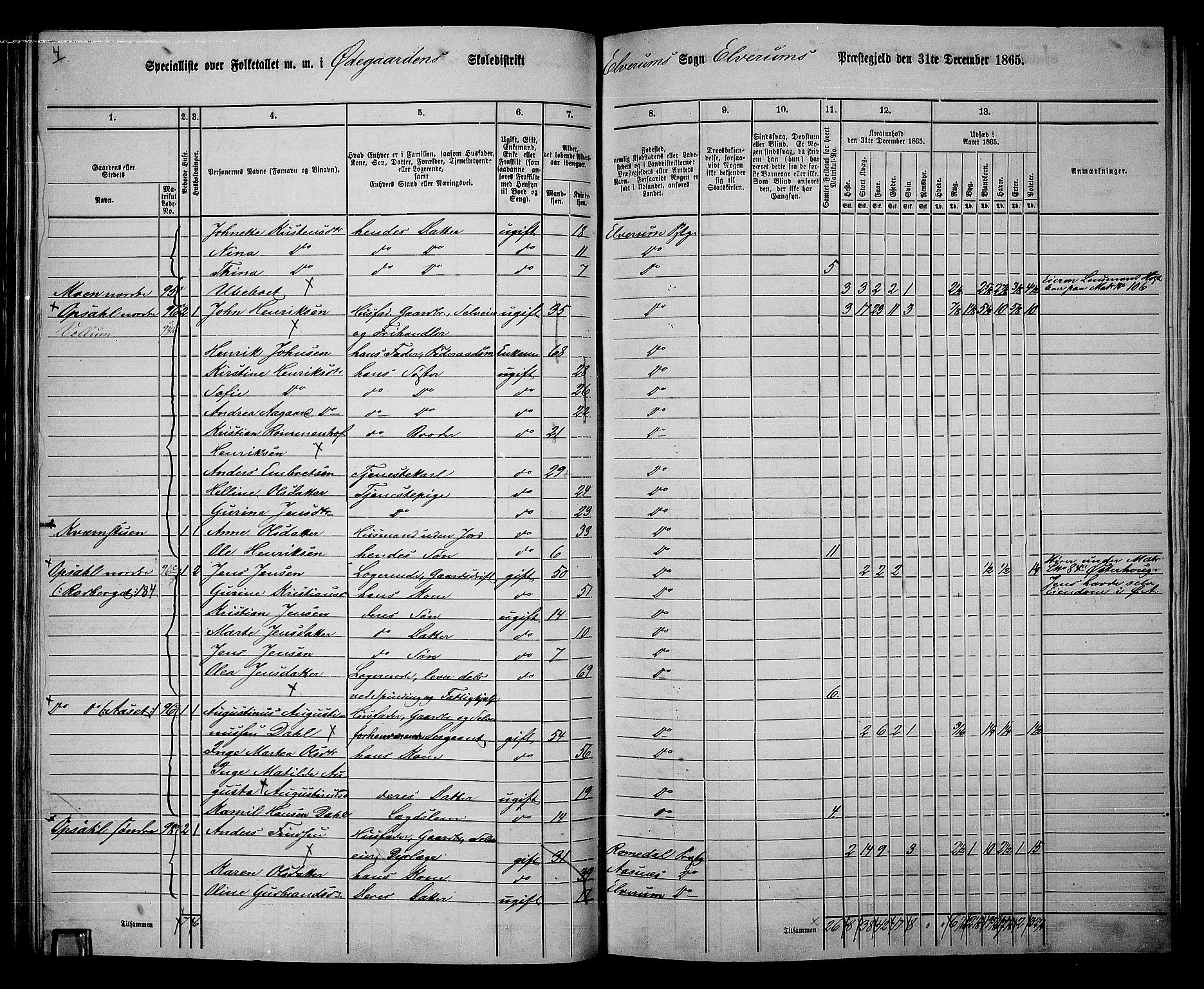 RA, 1865 census for Elverum, 1865, p. 59