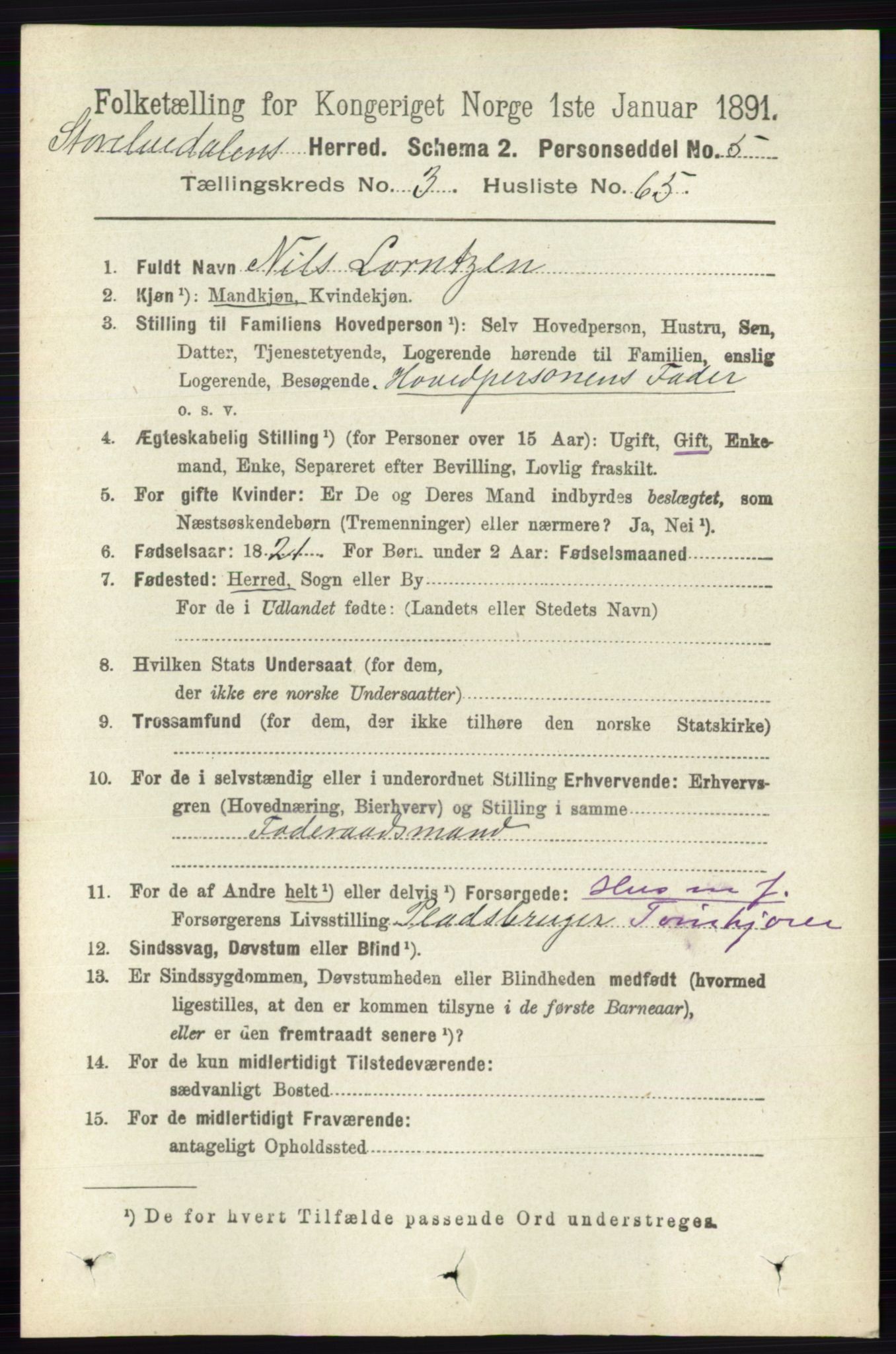 RA, 1891 census for 0430 Stor-Elvdal, 1891, p. 1304