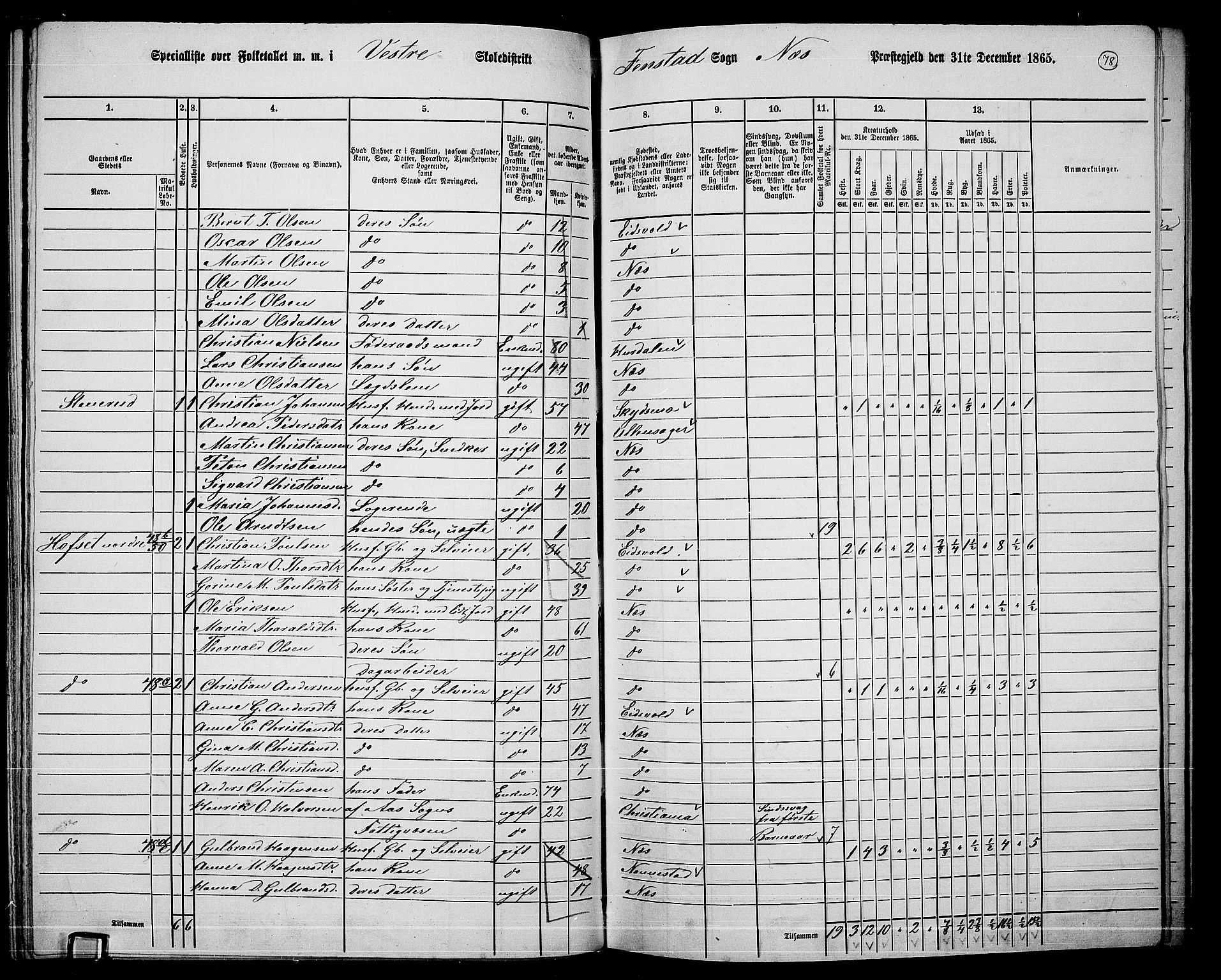 RA, 1865 census for Nes, 1865, p. 71