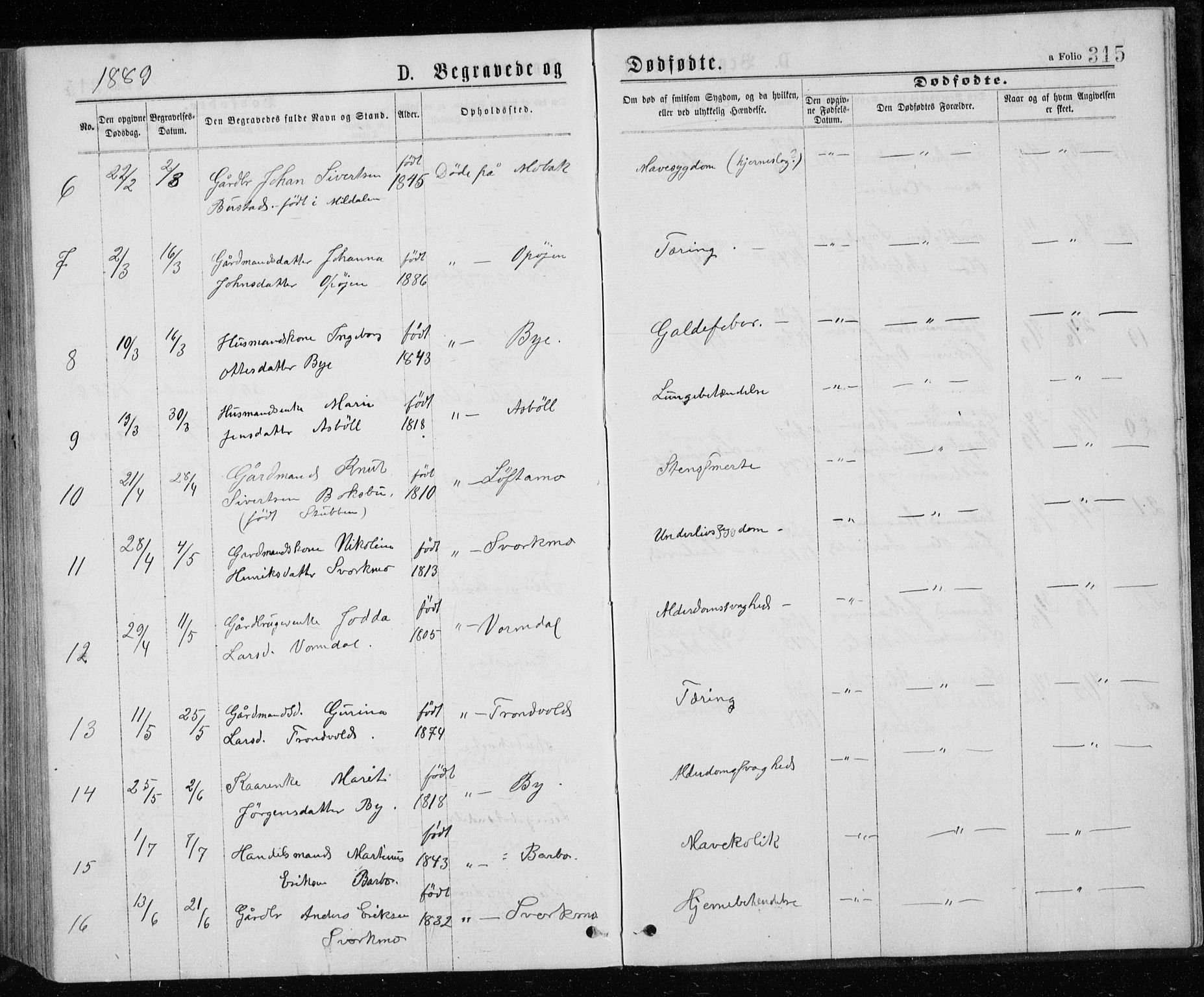 Ministerialprotokoller, klokkerbøker og fødselsregistre - Sør-Trøndelag, SAT/A-1456/671/L0843: Parish register (copy) no. 671C02, 1873-1892, p. 315