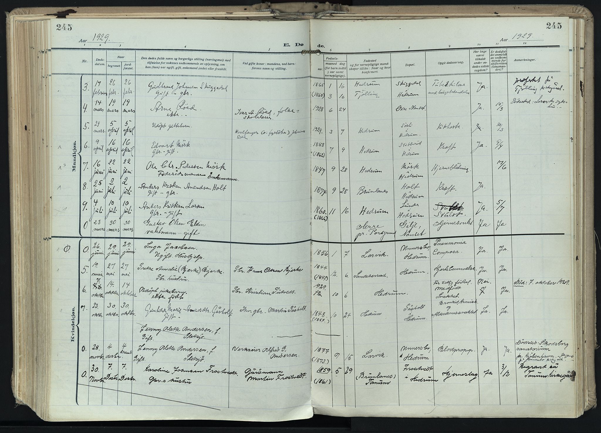 Hedrum kirkebøker, AV/SAKO-A-344/F/Fa/L0011: Parish register (official) no. I 11, 1919-1933, p. 245