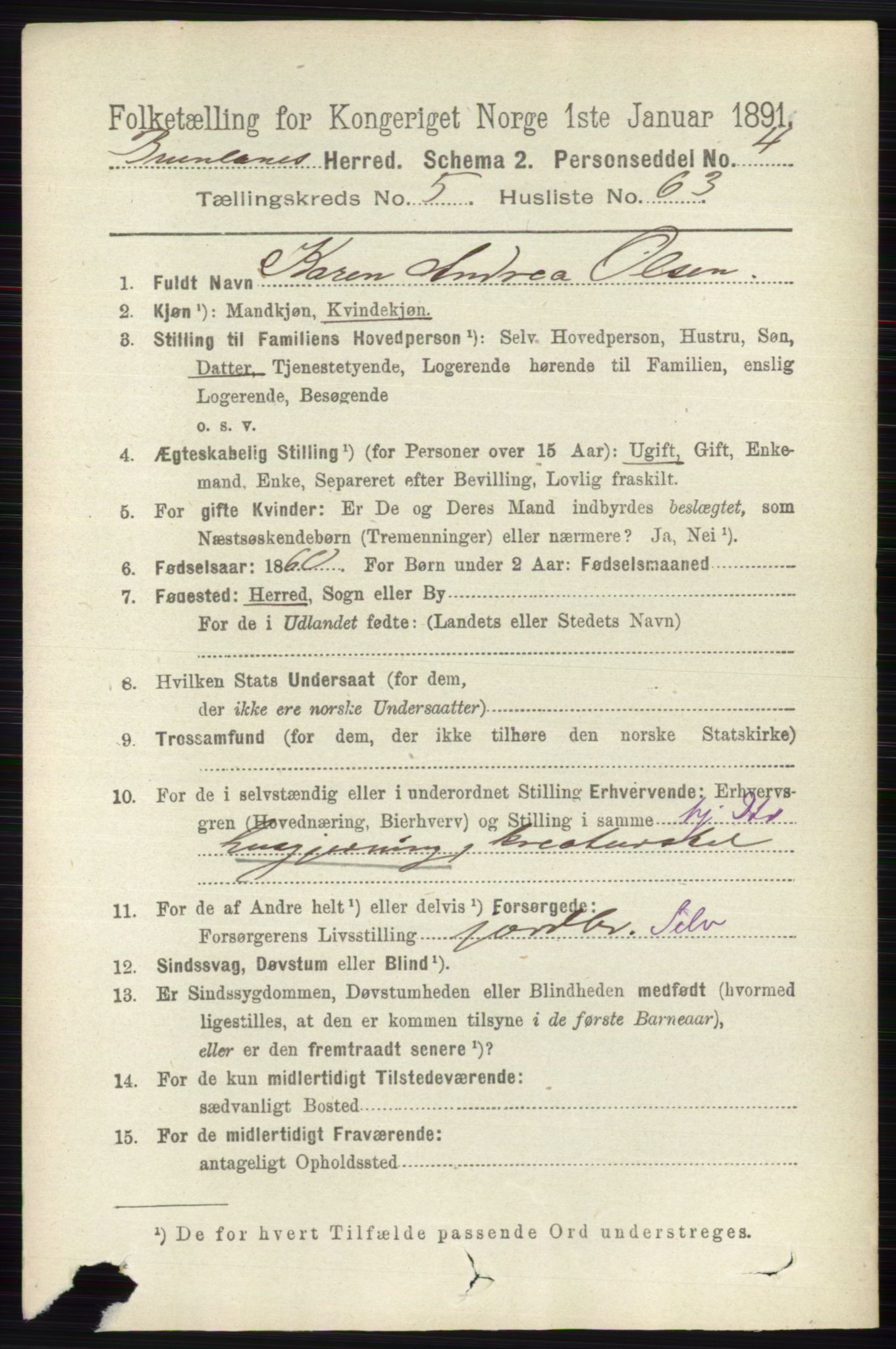 RA, 1891 census for 0726 Brunlanes, 1891, p. 2570