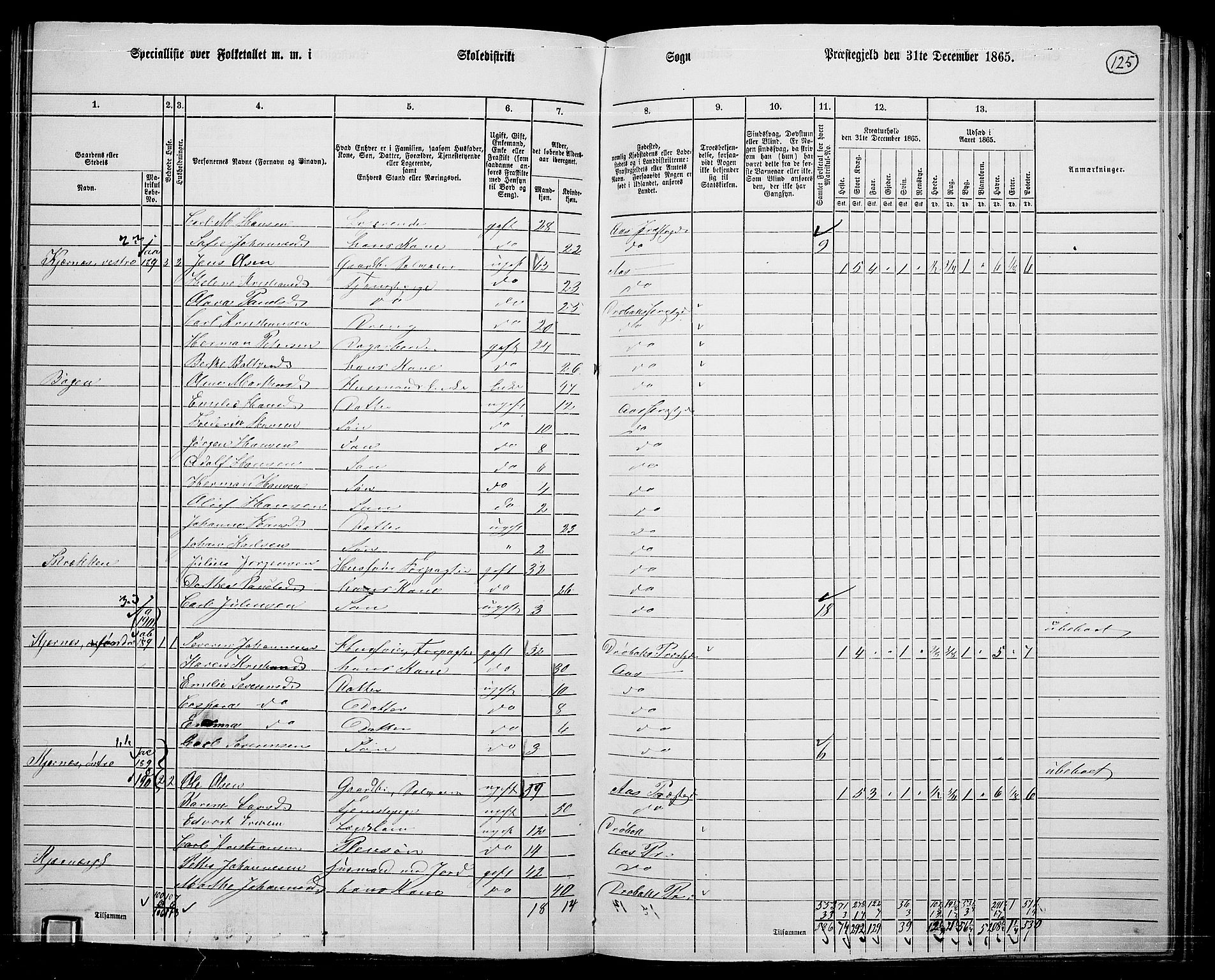 RA, 1865 census for Ås, 1865, p. 113