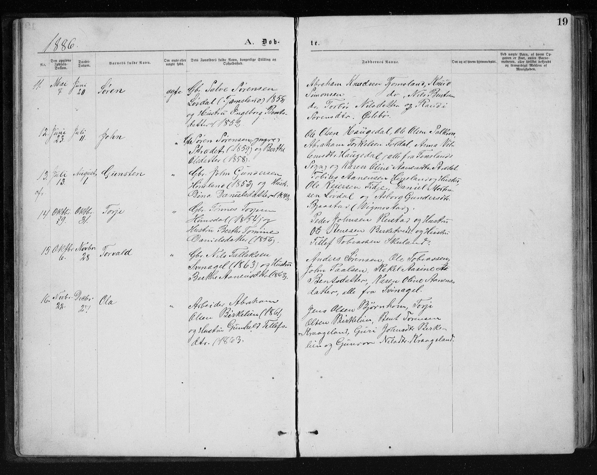 Holum sokneprestkontor, SAK/1111-0022/F/Fb/Fbb/L0003: Parish register (copy) no. B 3, 1875-1898, p. 19