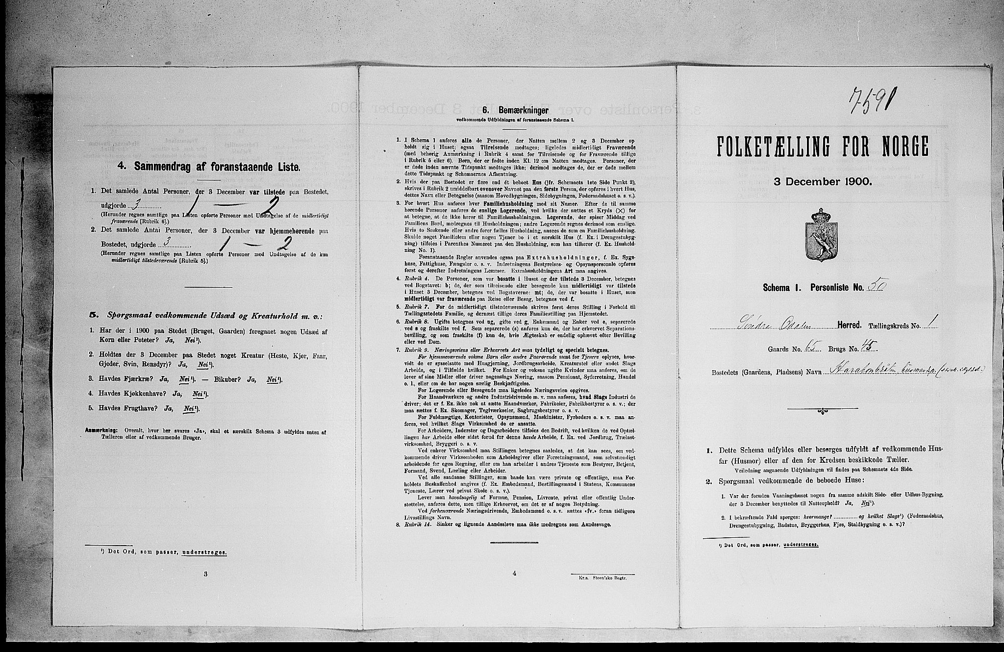 SAH, 1900 census for Sør-Odal, 1900, p. 258