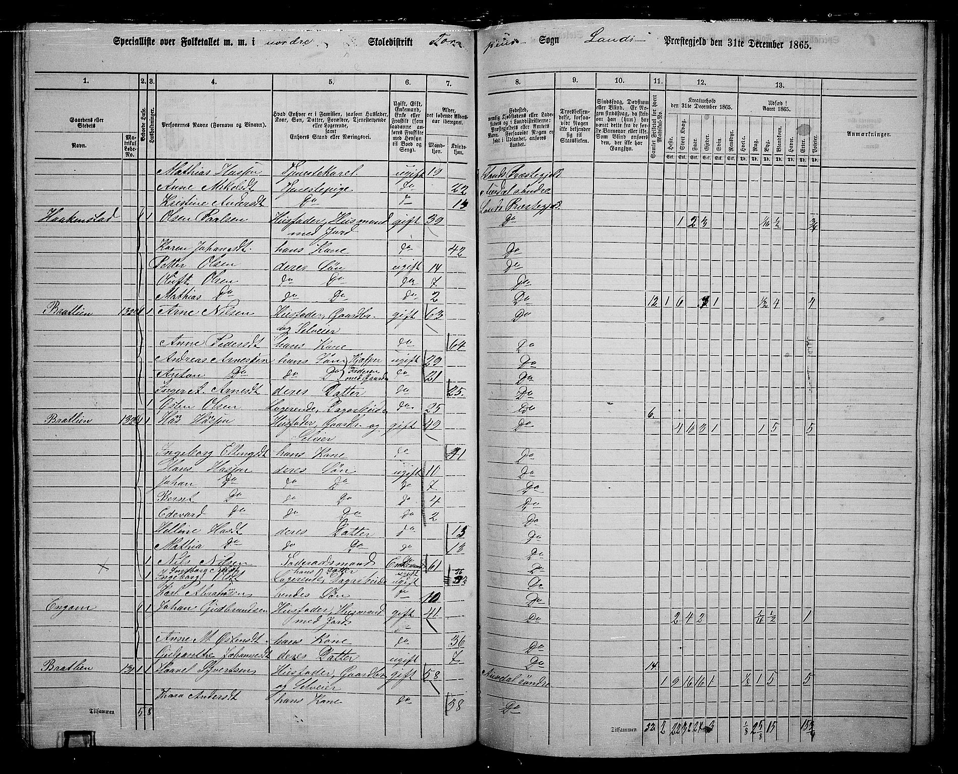 RA, 1865 census for Land, 1865, p. 142