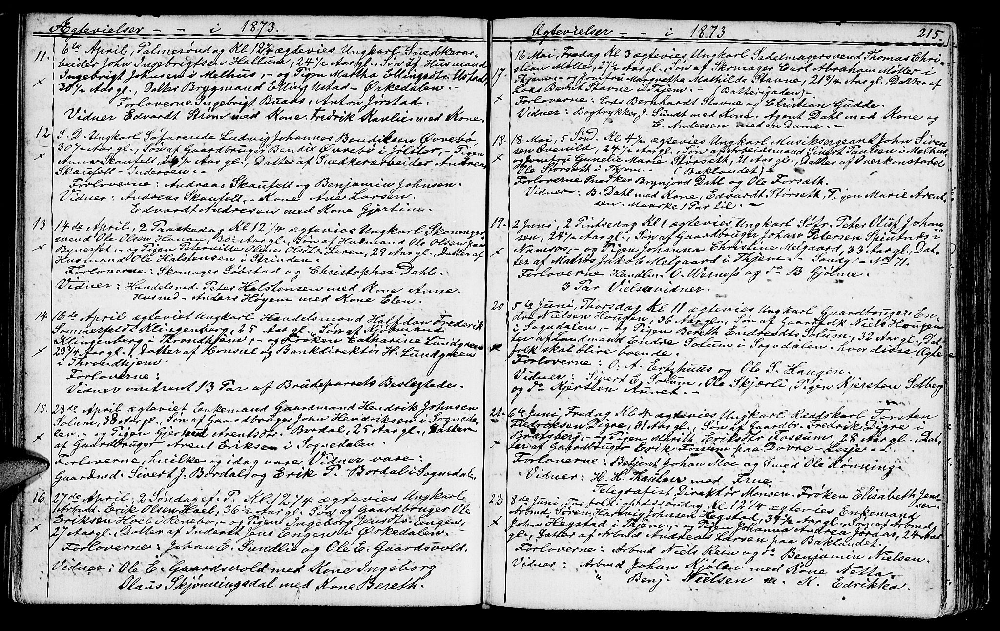 Ministerialprotokoller, klokkerbøker og fødselsregistre - Sør-Trøndelag, SAT/A-1456/602/L0142: Parish register (copy) no. 602C10, 1872-1894, p. 215