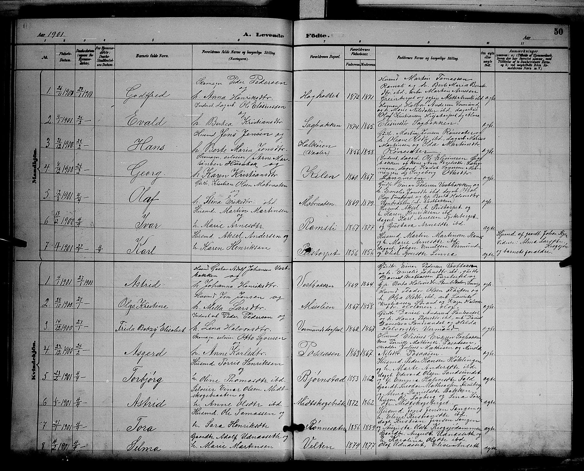 Åsnes prestekontor, AV/SAH-PREST-042/H/Ha/Hab/L0003: Parish register (copy) no. 3, 1890-1902, p. 50