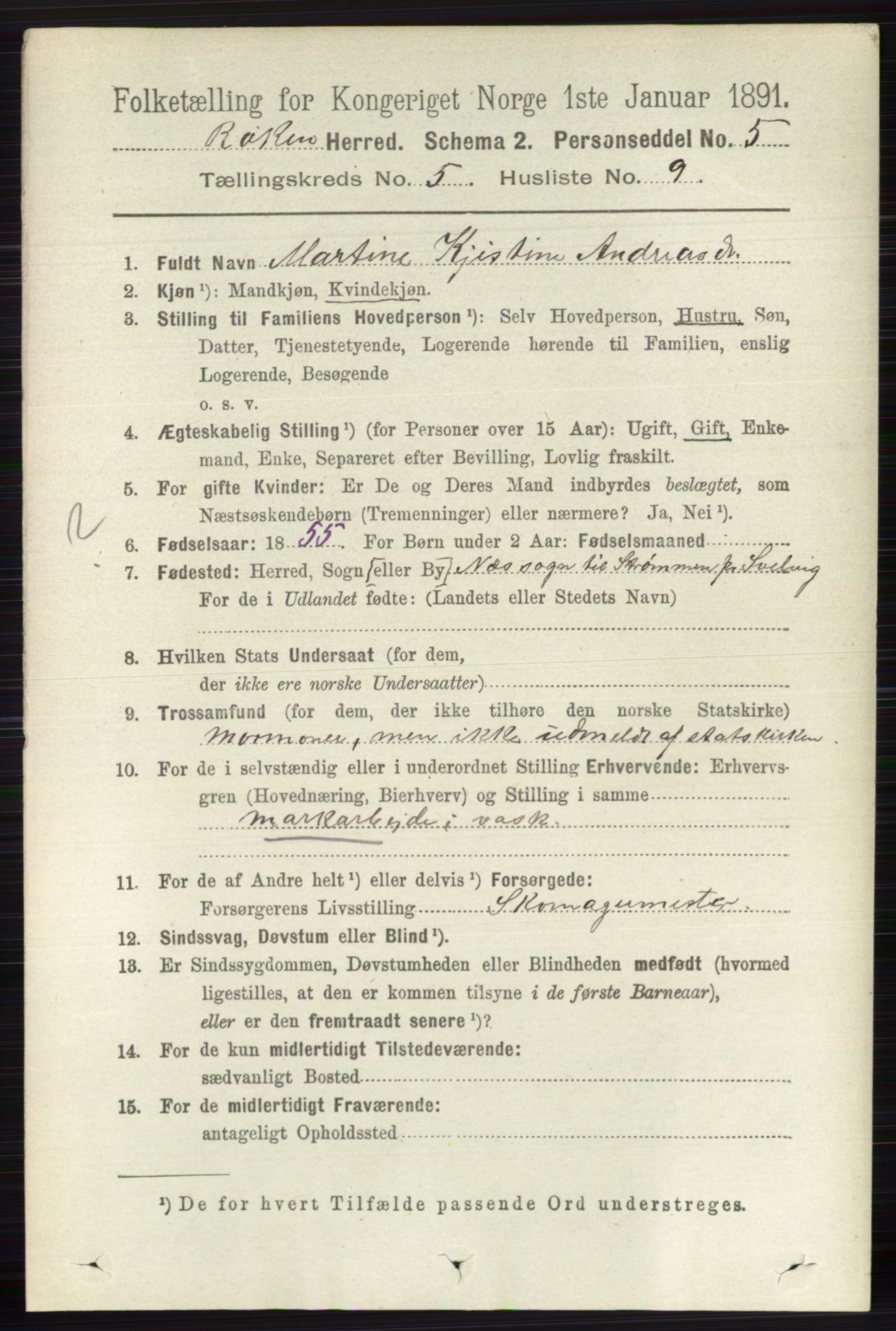 RA, 1891 census for 0627 Røyken, 1891, p. 2929