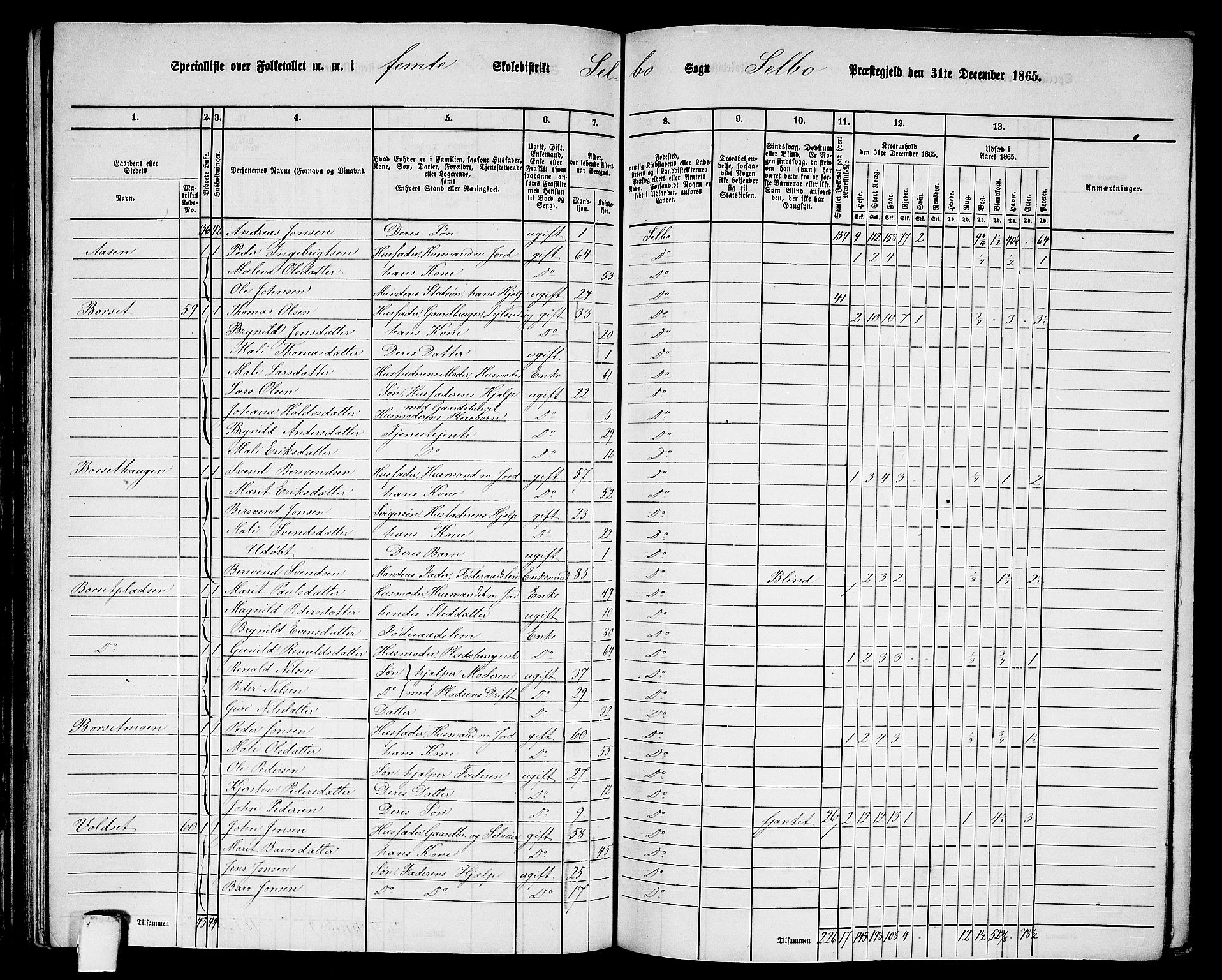 RA, 1865 census for Selbu, 1865, p. 72