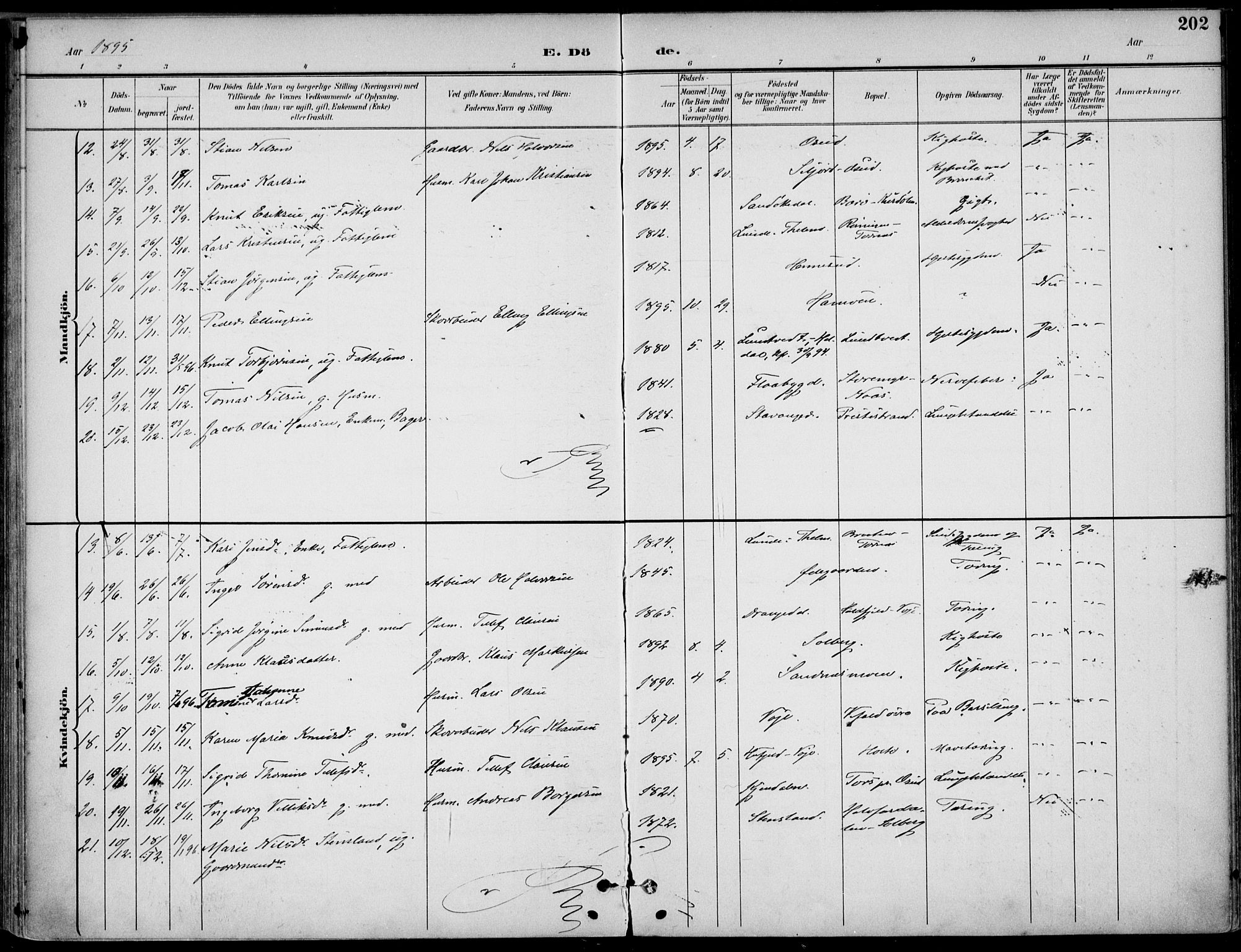 Drangedal kirkebøker, SAKO/A-258/F/Fa/L0012: Parish register (official) no. 12, 1895-1905, p. 202