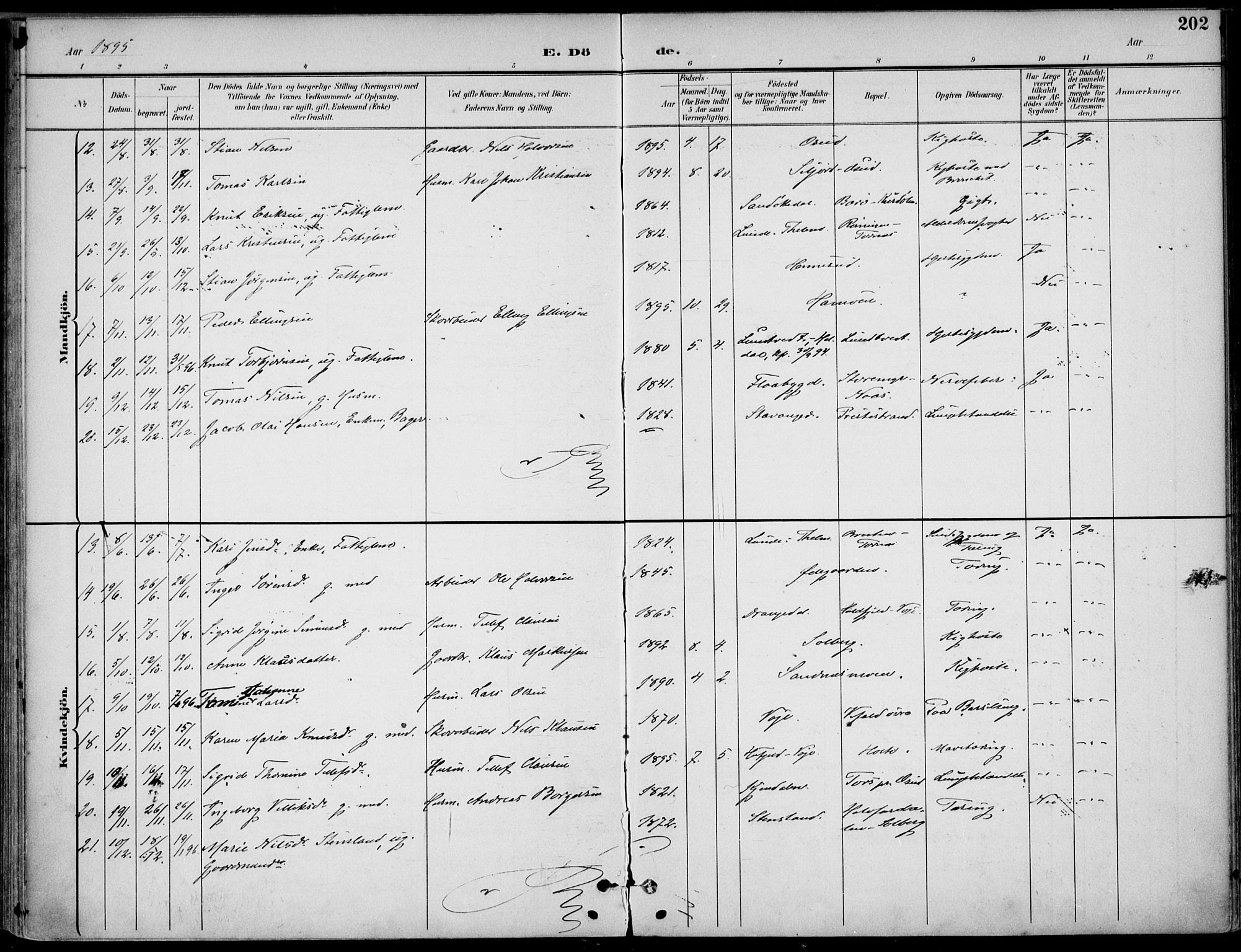 Drangedal kirkebøker, AV/SAKO-A-258/F/Fa/L0012: Parish register (official) no. 12, 1895-1905, p. 202