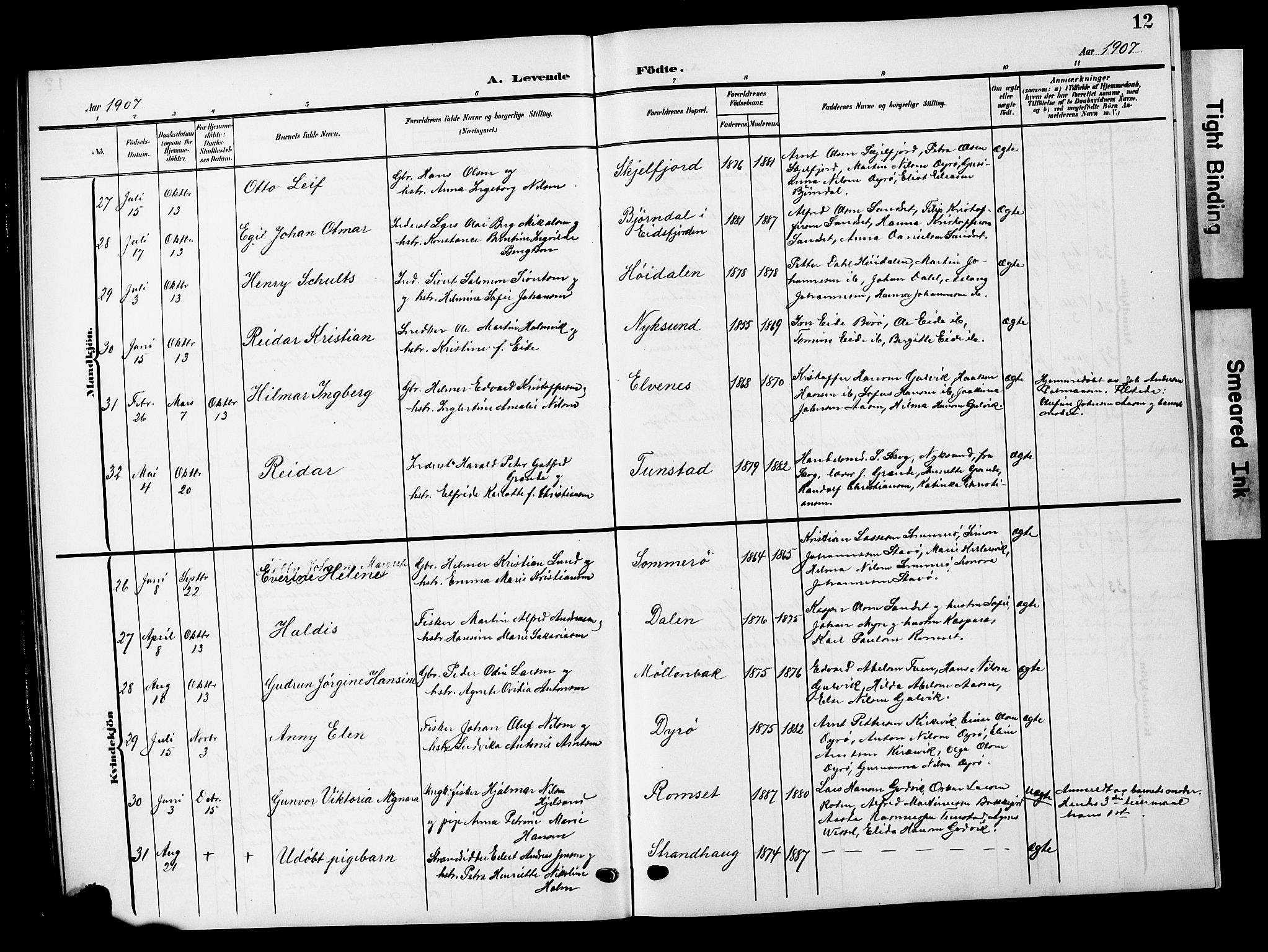 Ministerialprotokoller, klokkerbøker og fødselsregistre - Nordland, AV/SAT-A-1459/893/L1350: Parish register (copy) no. 893C05, 1906-1927, p. 12