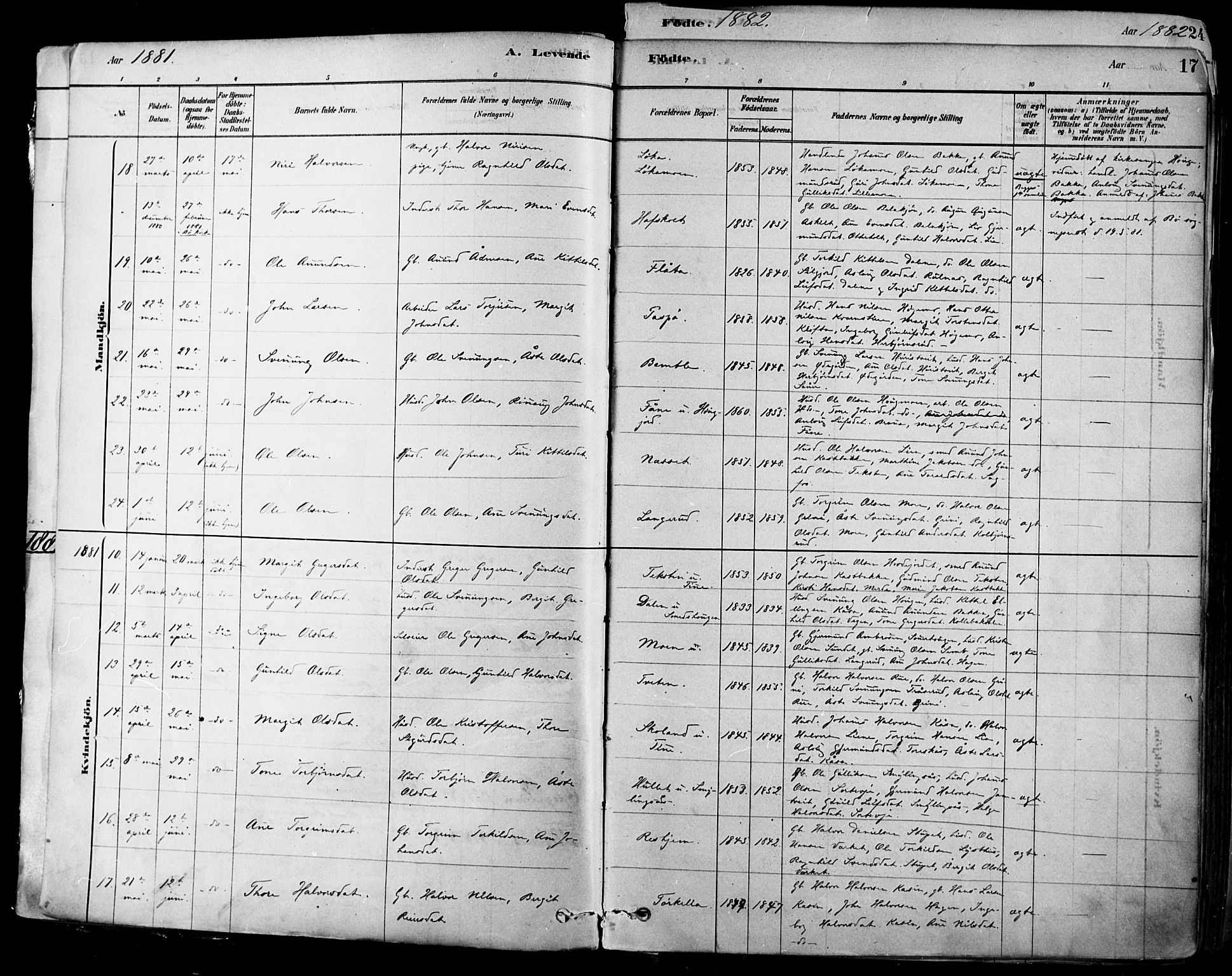 Heddal kirkebøker, SAKO/A-268/F/Fa/L0008: Parish register (official) no. I 8, 1878-1903, p. 17