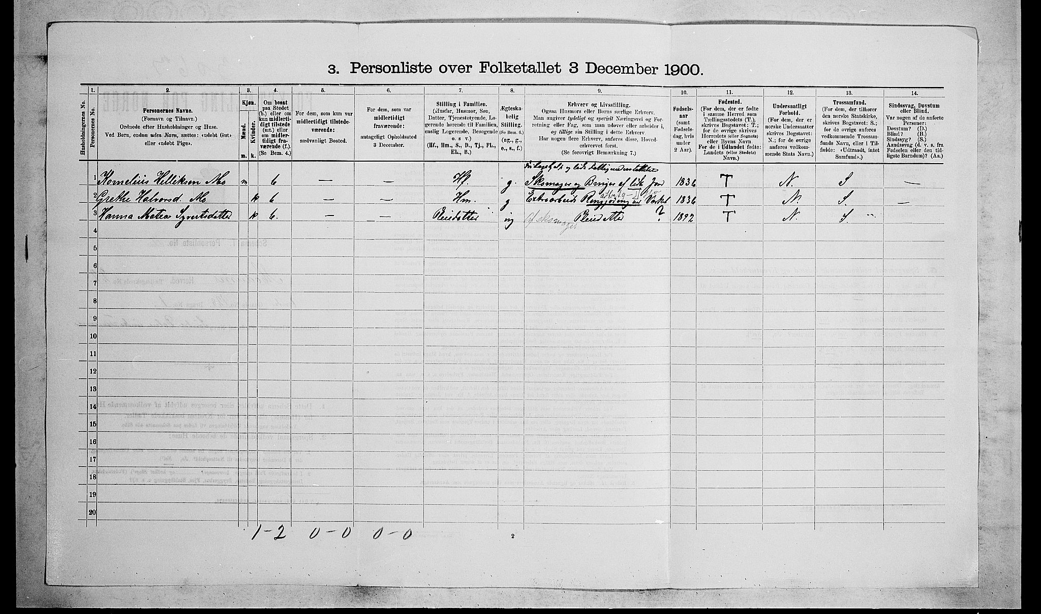 RA, 1900 census for Modum, 1900, p. 2619