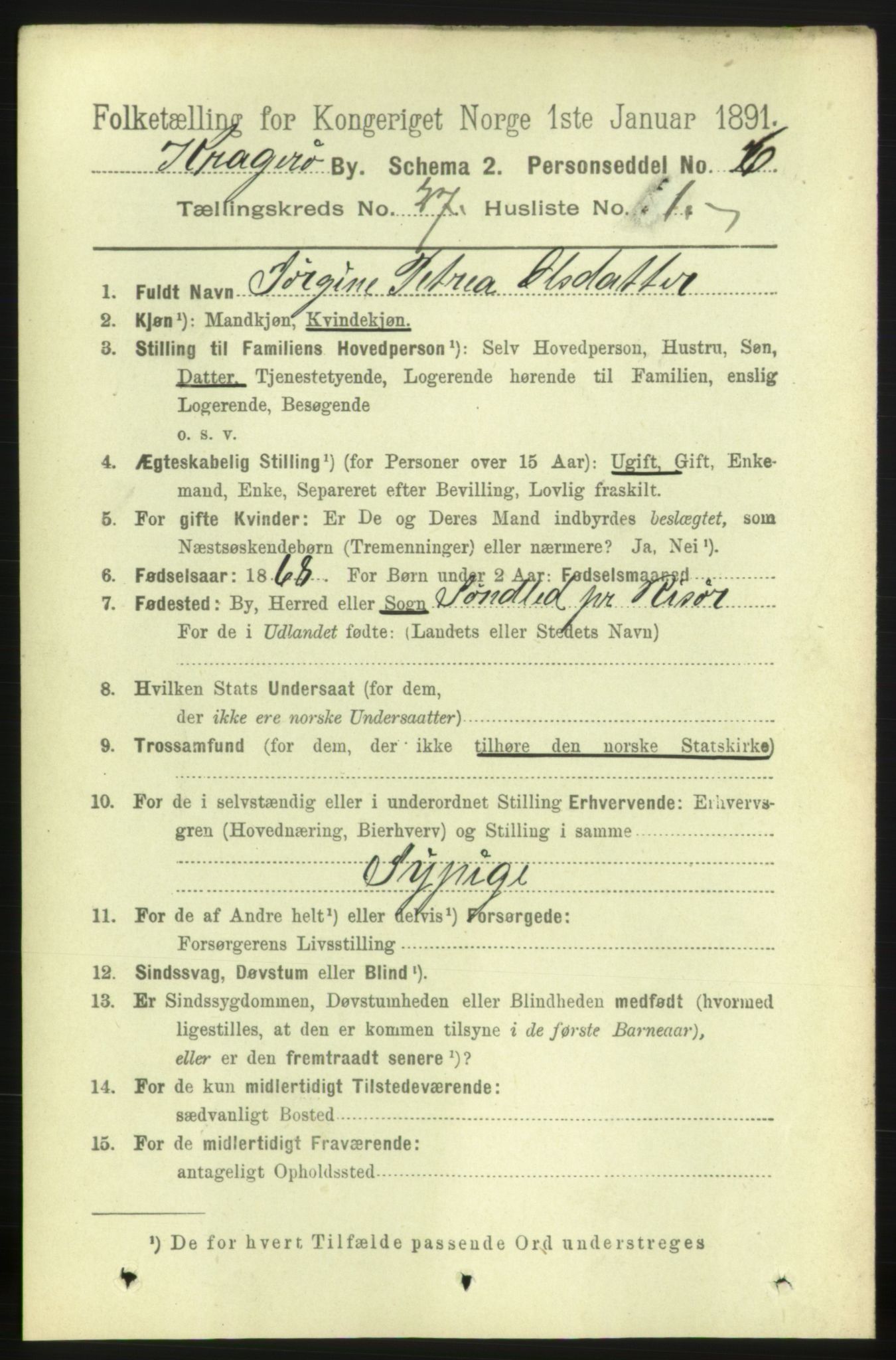 RA, 1891 census for 0801 Kragerø, 1891, p. 5295