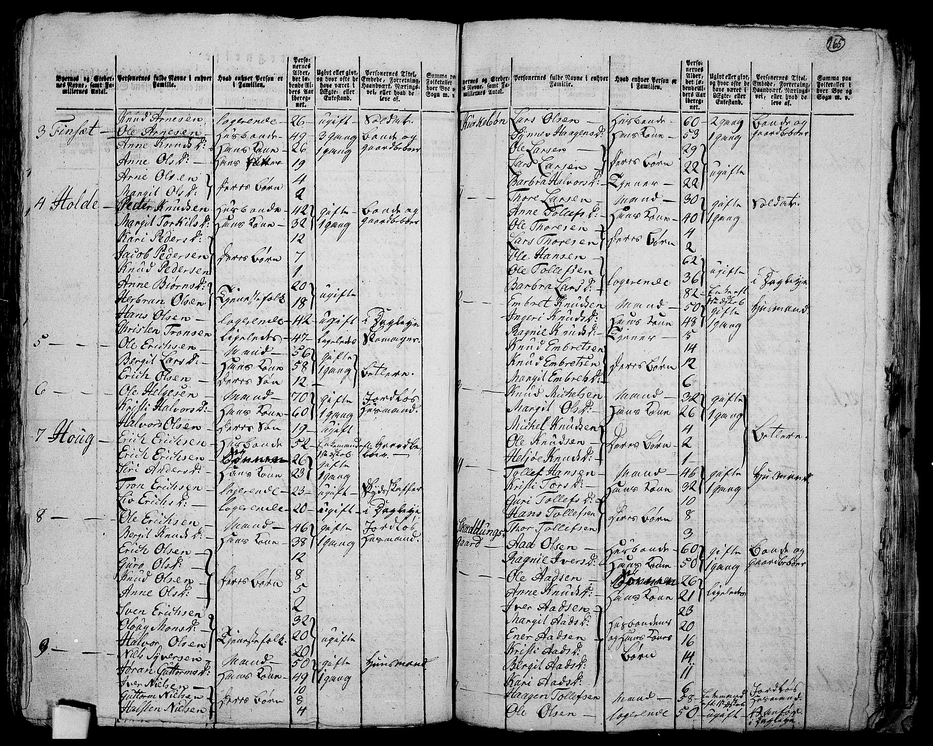 RA, 1801 census for 0616P Nes, 1801, p. 164b-165a