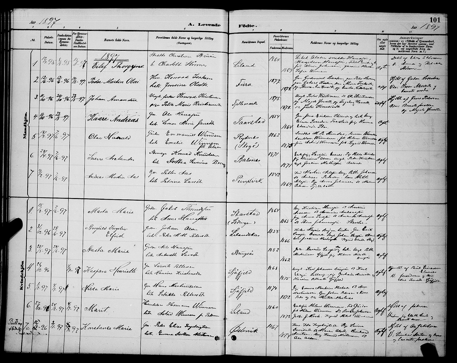 Ministerialprotokoller, klokkerbøker og fødselsregistre - Nordland, SAT/A-1459/863/L0914: Parish register (copy) no. 863C04, 1886-1897, p. 101