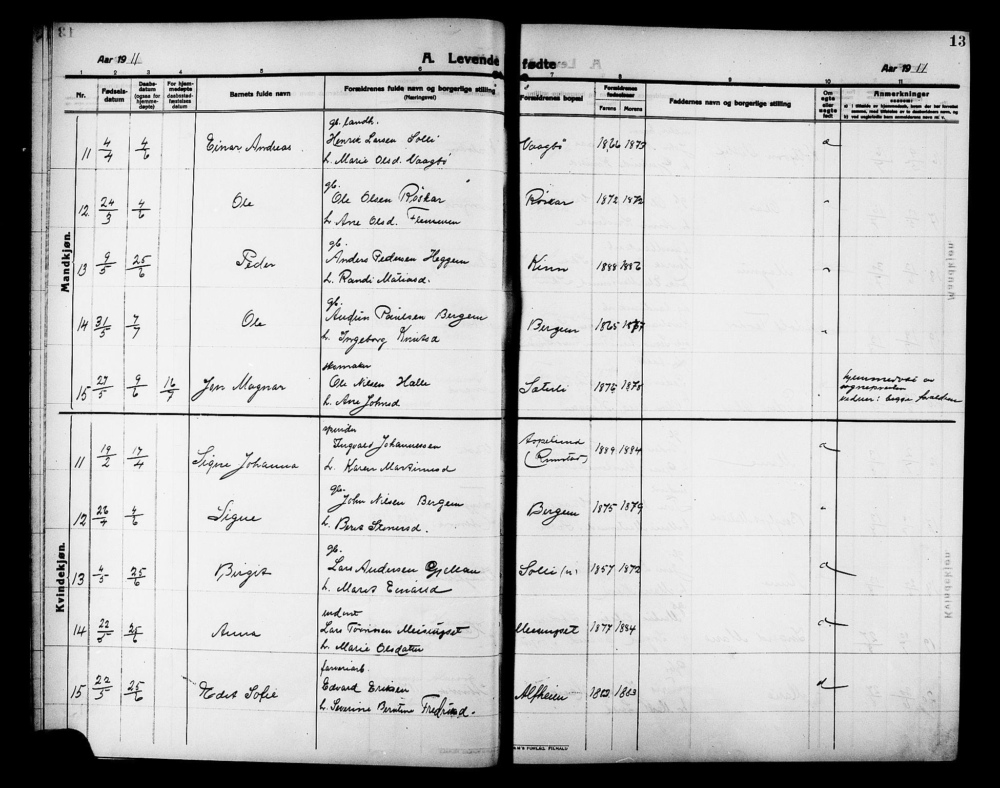 Ministerialprotokoller, klokkerbøker og fødselsregistre - Møre og Romsdal, AV/SAT-A-1454/586/L0993: Parish register (copy) no. 586C04, 1910-1918, p. 13