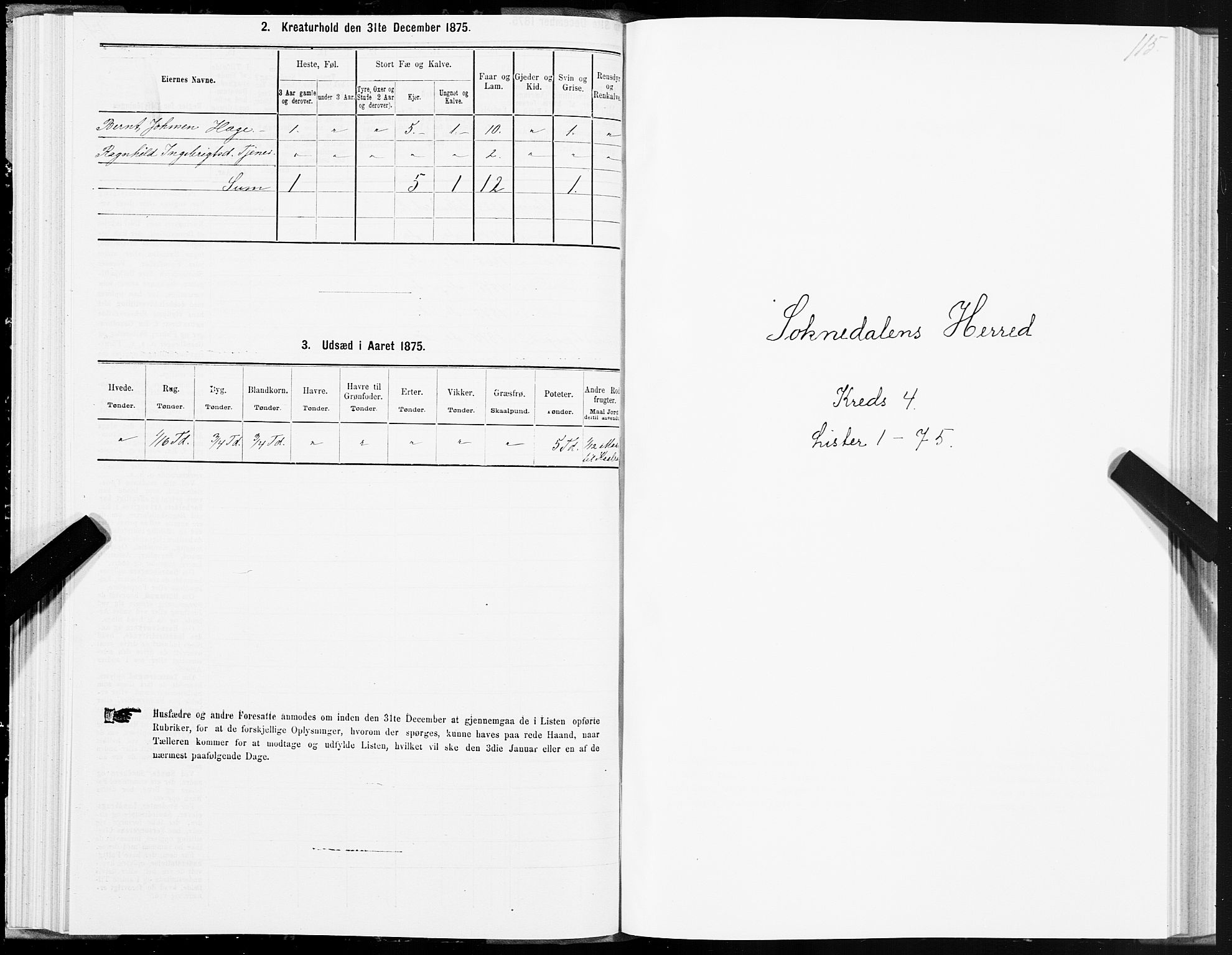 SAT, 1875 census for 1648P Støren, 1875, p. 8115