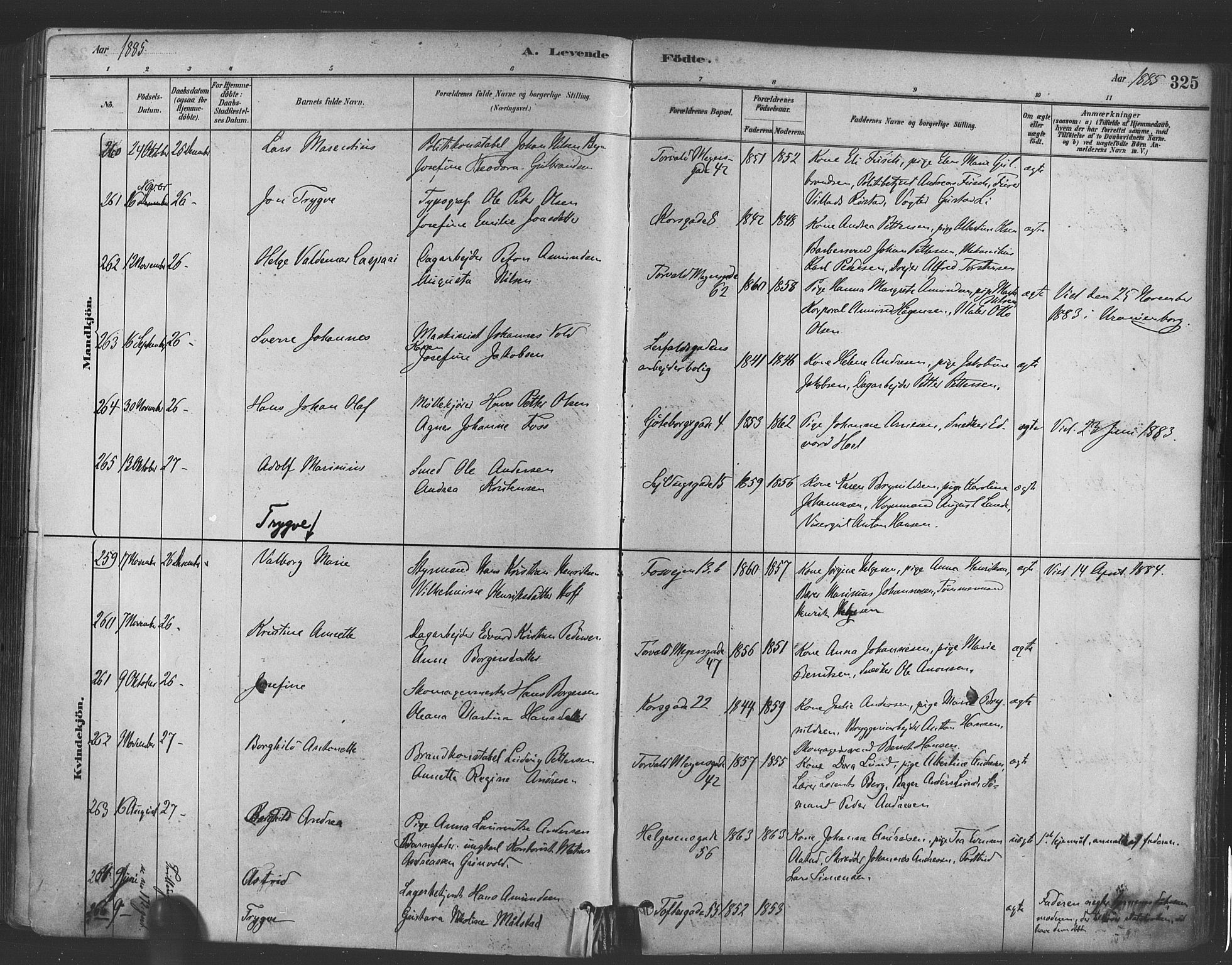 Paulus prestekontor Kirkebøker, AV/SAO-A-10871/F/Fa/L0003: Parish register (official) no. 3, 1879-1887, p. 325