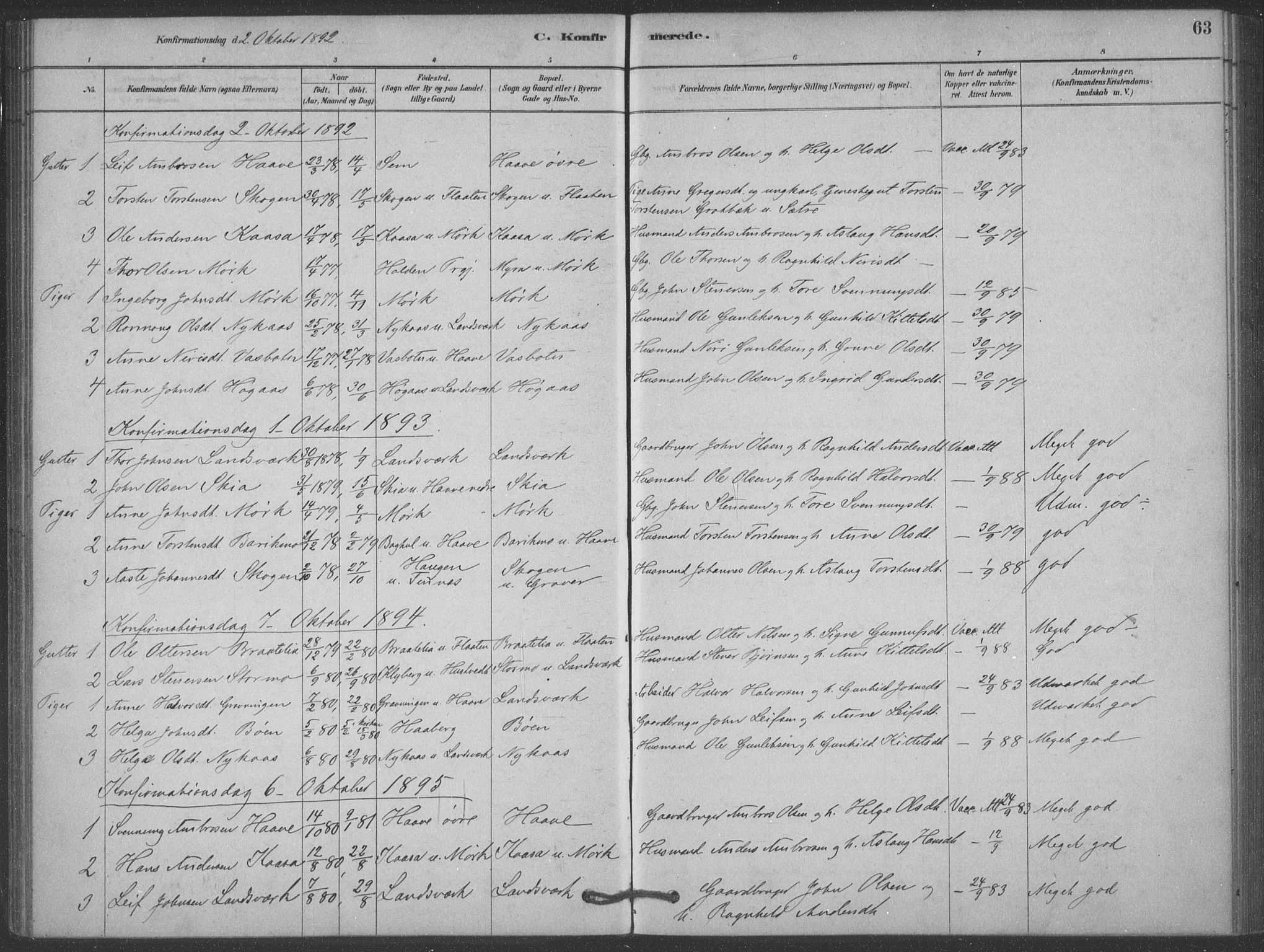 Heddal kirkebøker, AV/SAKO-A-268/F/Fb/L0002: Parish register (official) no. II 2, 1878-1913, p. 63