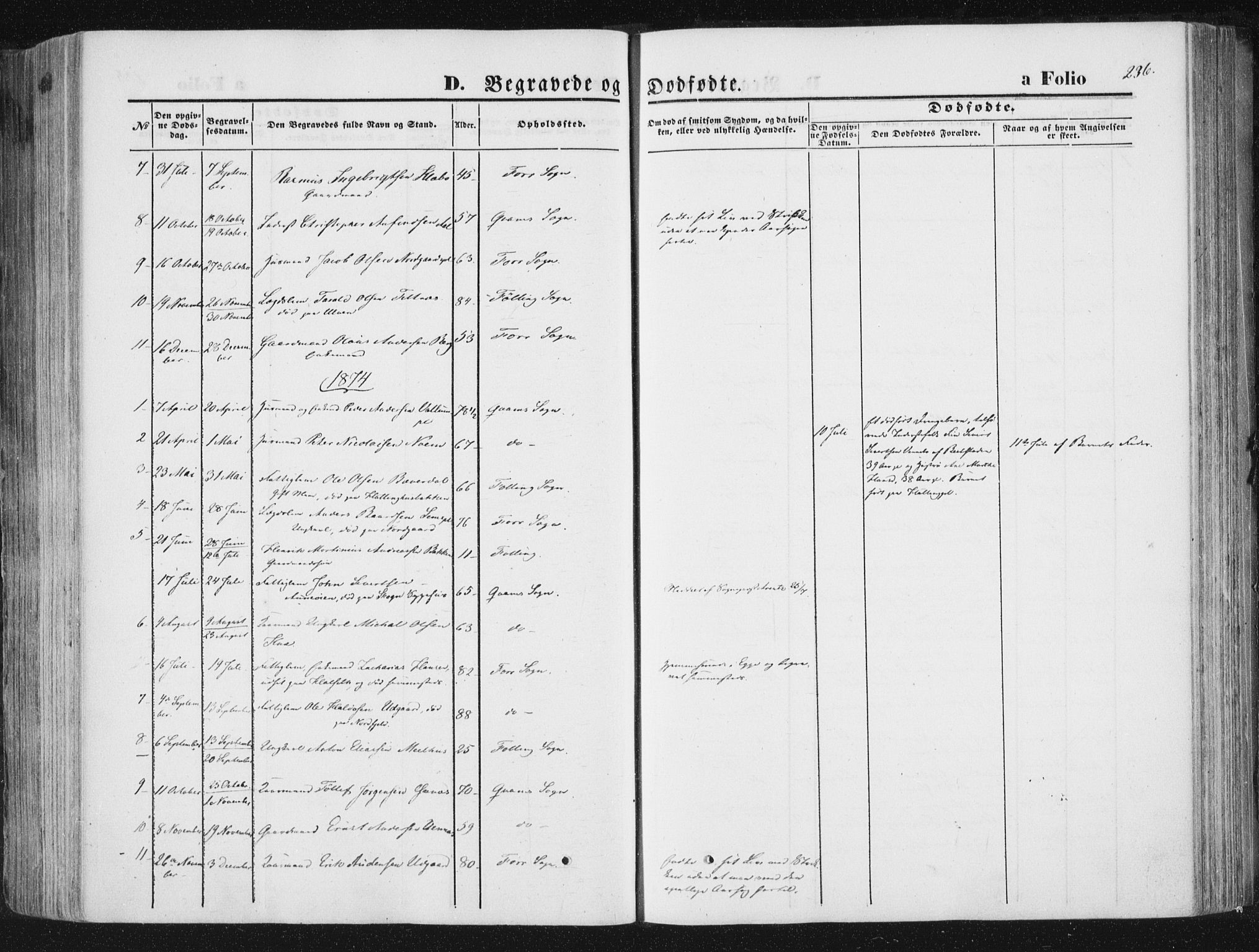 Ministerialprotokoller, klokkerbøker og fødselsregistre - Nord-Trøndelag, SAT/A-1458/746/L0447: Parish register (official) no. 746A06, 1860-1877, p. 236