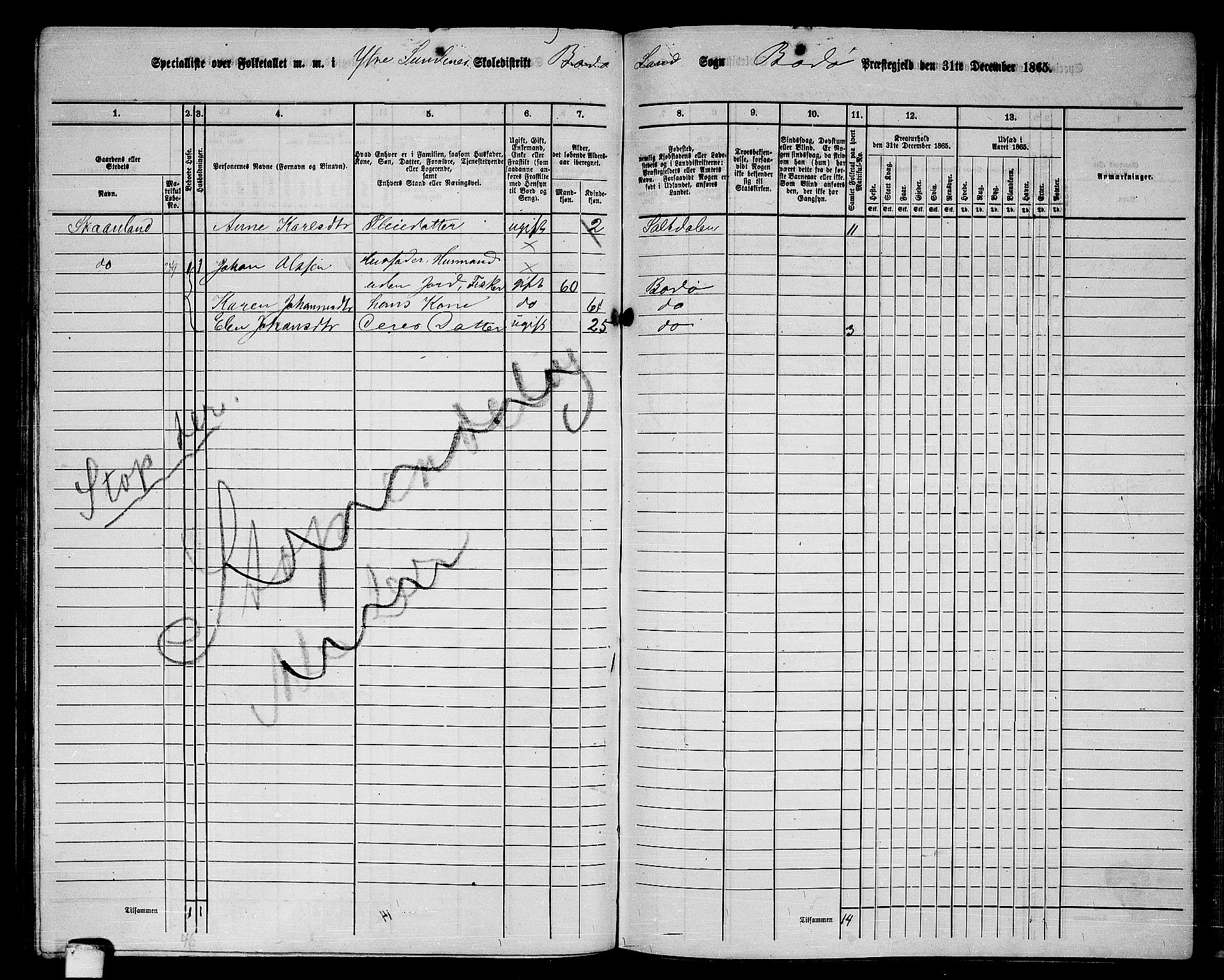 RA, 1865 census for Bodø/Bodø, 1865, p. 107