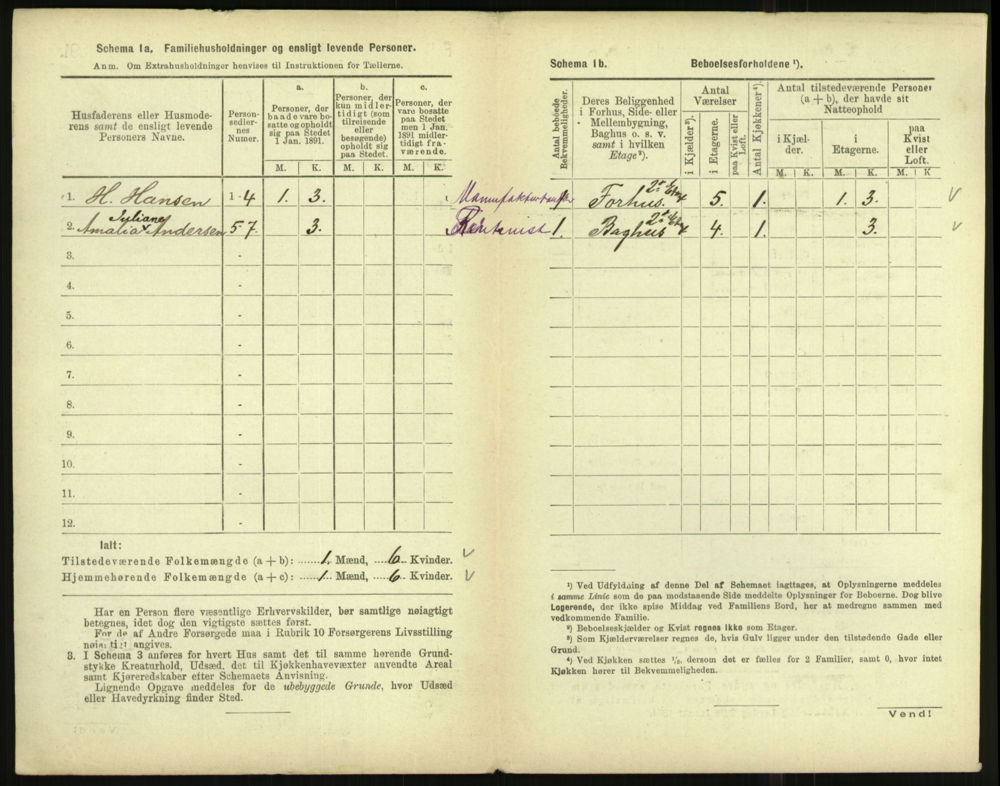 RA, 1891 census for 1003 Farsund, 1891, p. 117