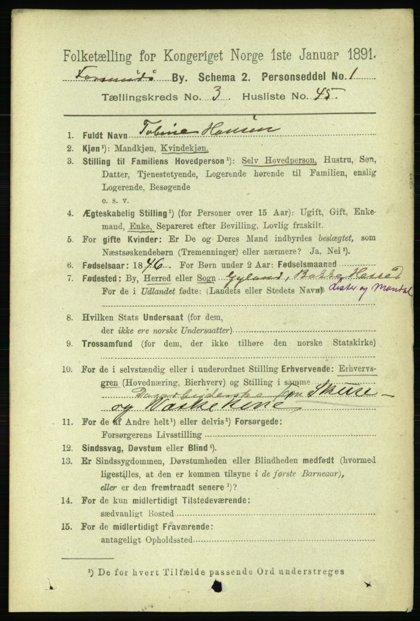 RA, 1891 census for 1003 Farsund, 1891, p. 1641