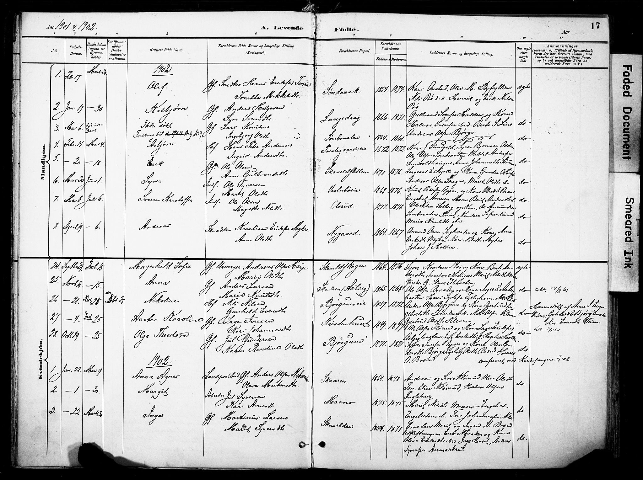 Nord-Aurdal prestekontor, SAH/PREST-132/H/Ha/Haa/L0014: Parish register (official) no. 14, 1896-1912, p. 17