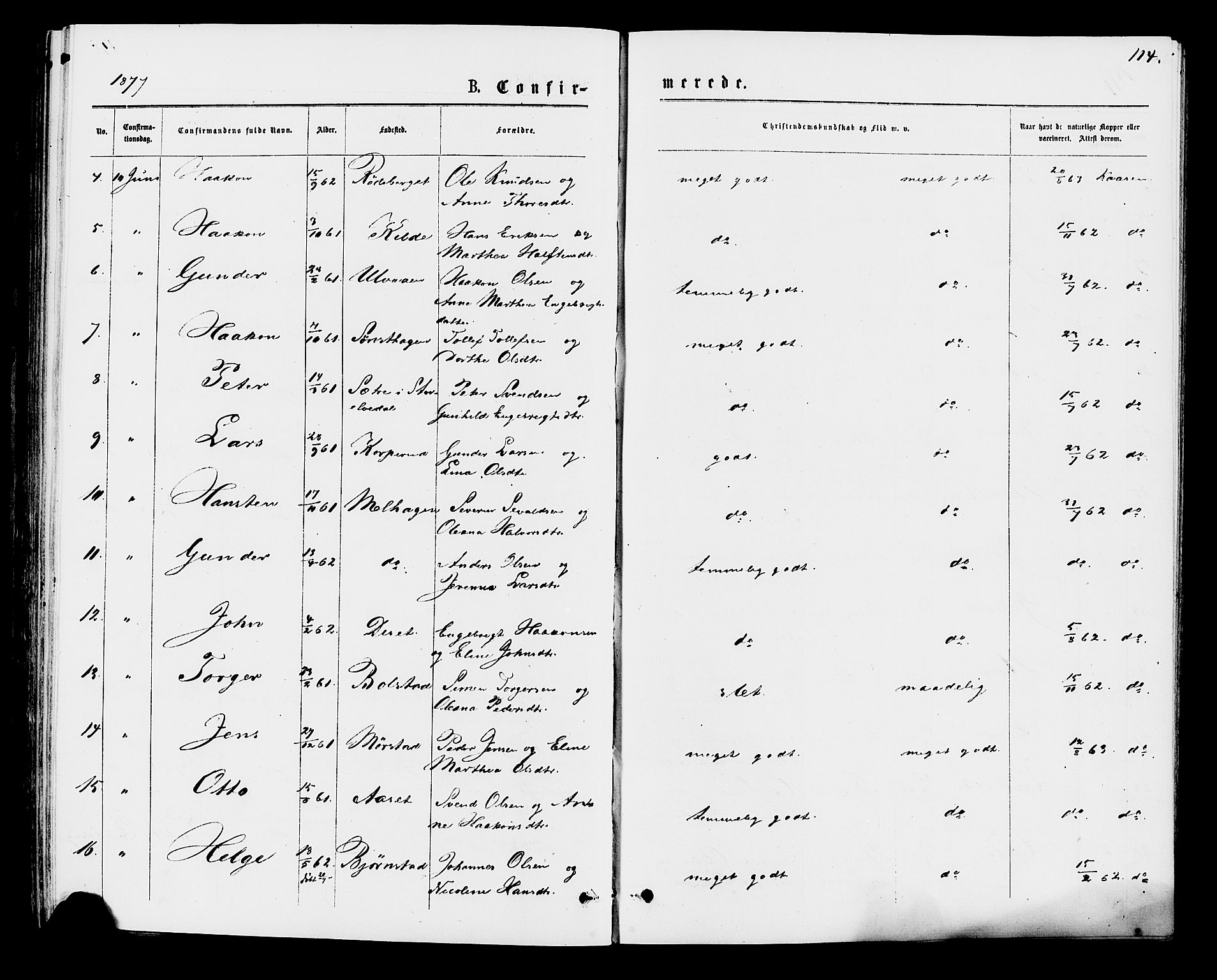 Åmot prestekontor, Hedmark, AV/SAH-PREST-056/H/Ha/Haa/L0009: Parish register (official) no. 9, 1875-1883, p. 114